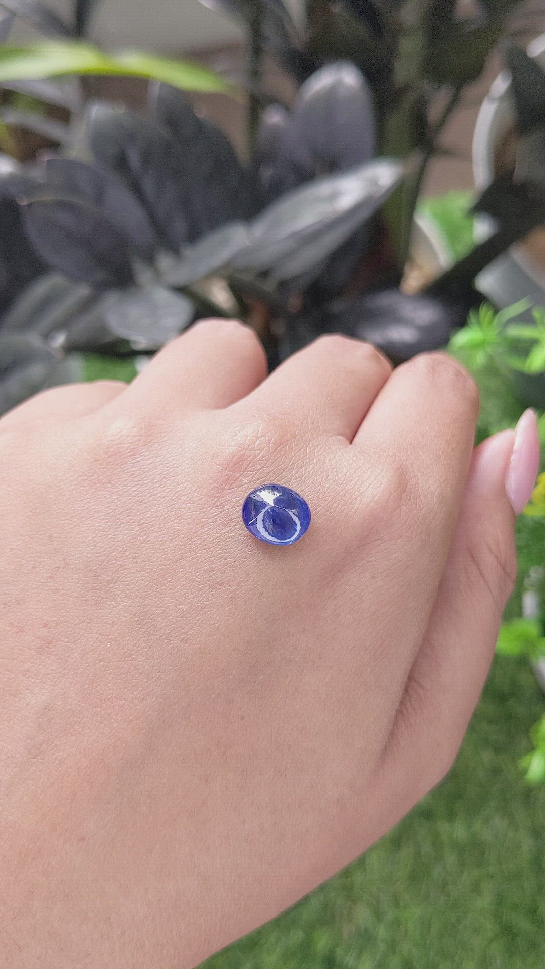 2.77 Ct. Blue Cabochon Sapphire from Ceylon (Sri Lanka) Size Video