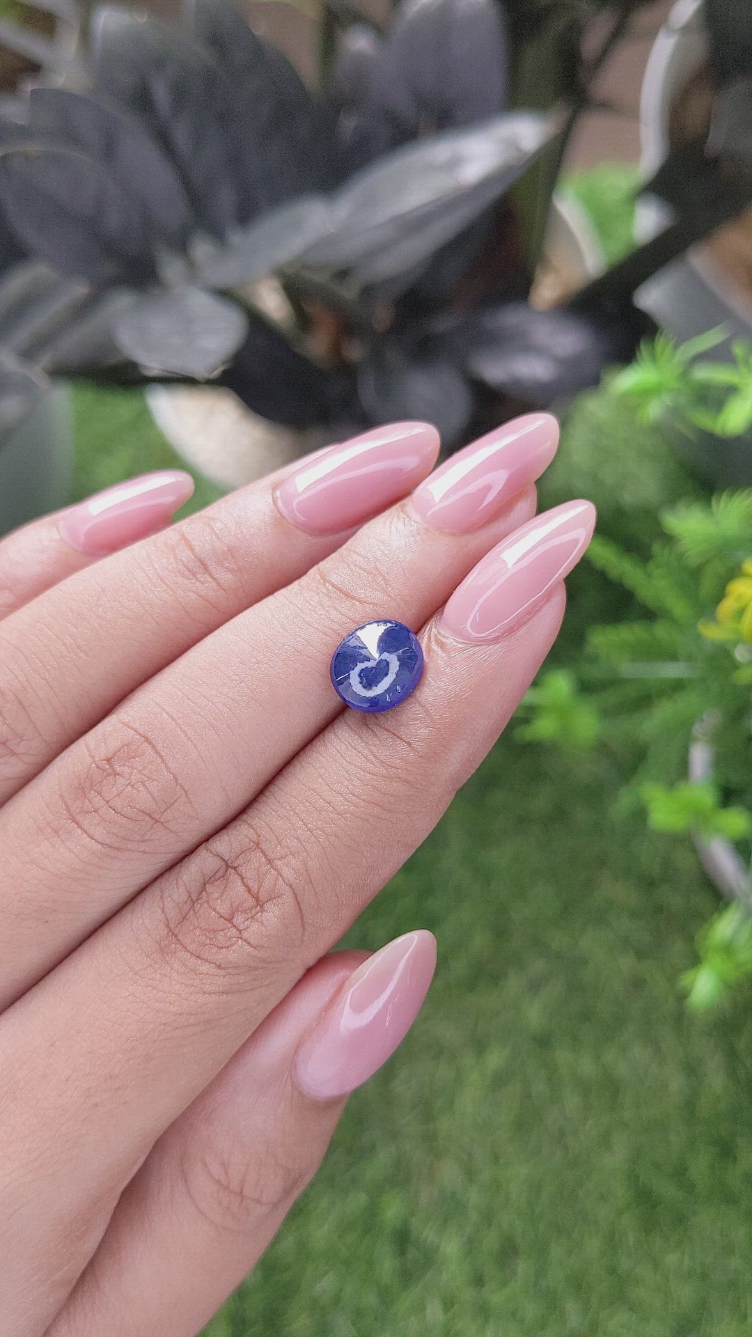 2.77 Ct. Blue Cabochon Sapphire from Ceylon (Sri Lanka) Size Video