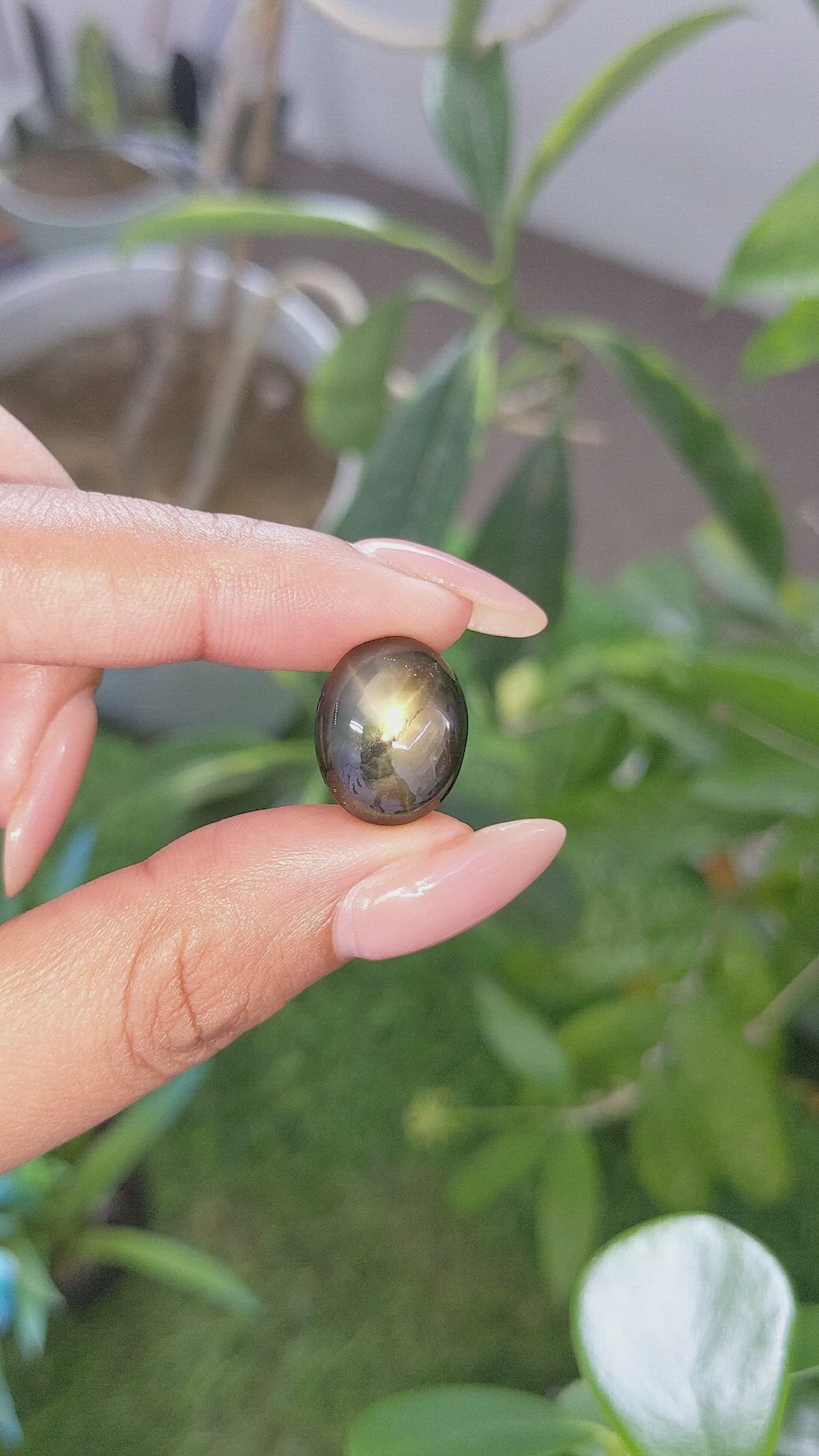 22.28 Ct. Greenish Blue Star Sapphire from Madagascar Size Video