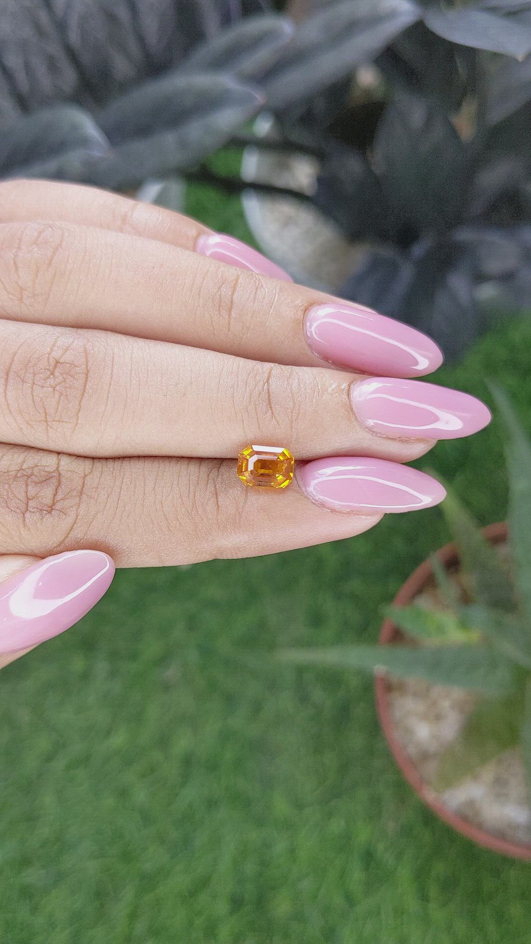 1.52 Ct. Yellowish Orange Sapphire from Ceylon (Sri Lanka) Size Video
