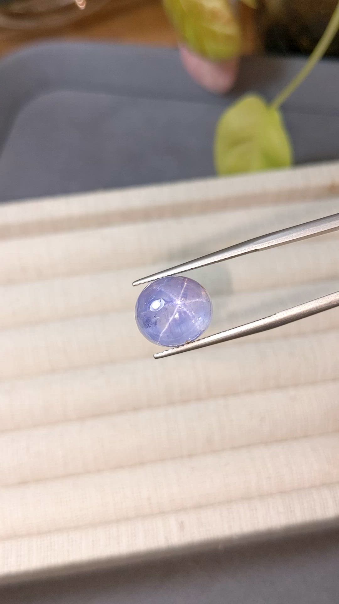 12.47 Ct. Blue Star Sapphire from Ceylon (Sri Lanka) Size Video