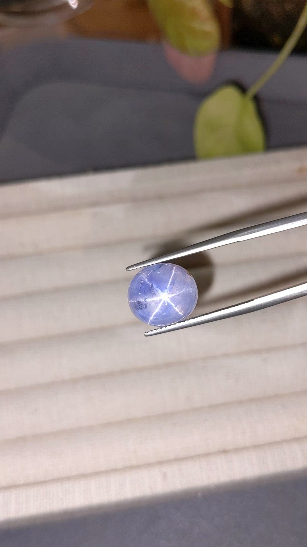 12.47 Ct. Blue Star Sapphire from Ceylon (Sri Lanka) Size Video