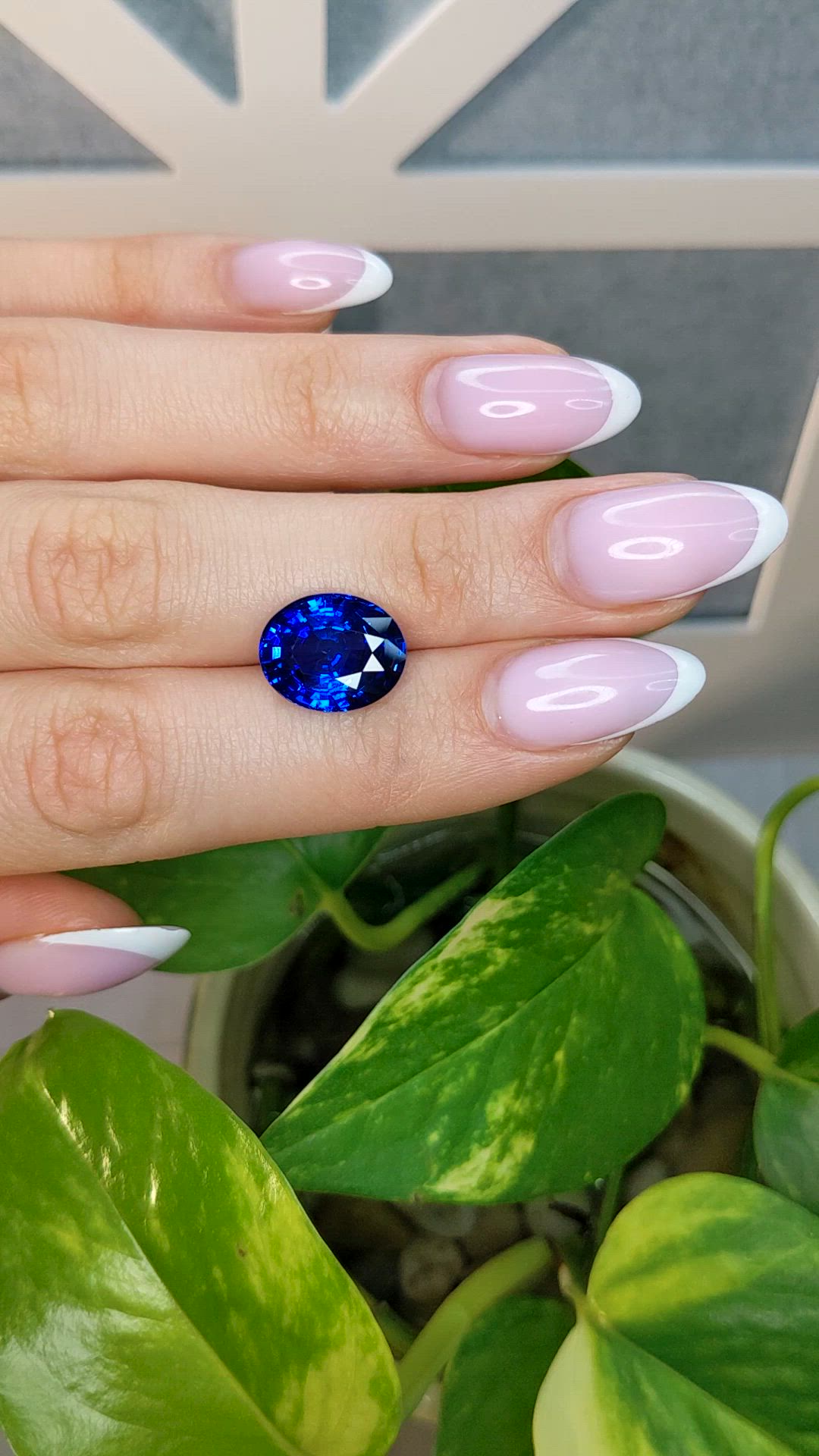 8.06 Ct. Blue Sapphire from Ceylon (Sri Lanka) Size Video