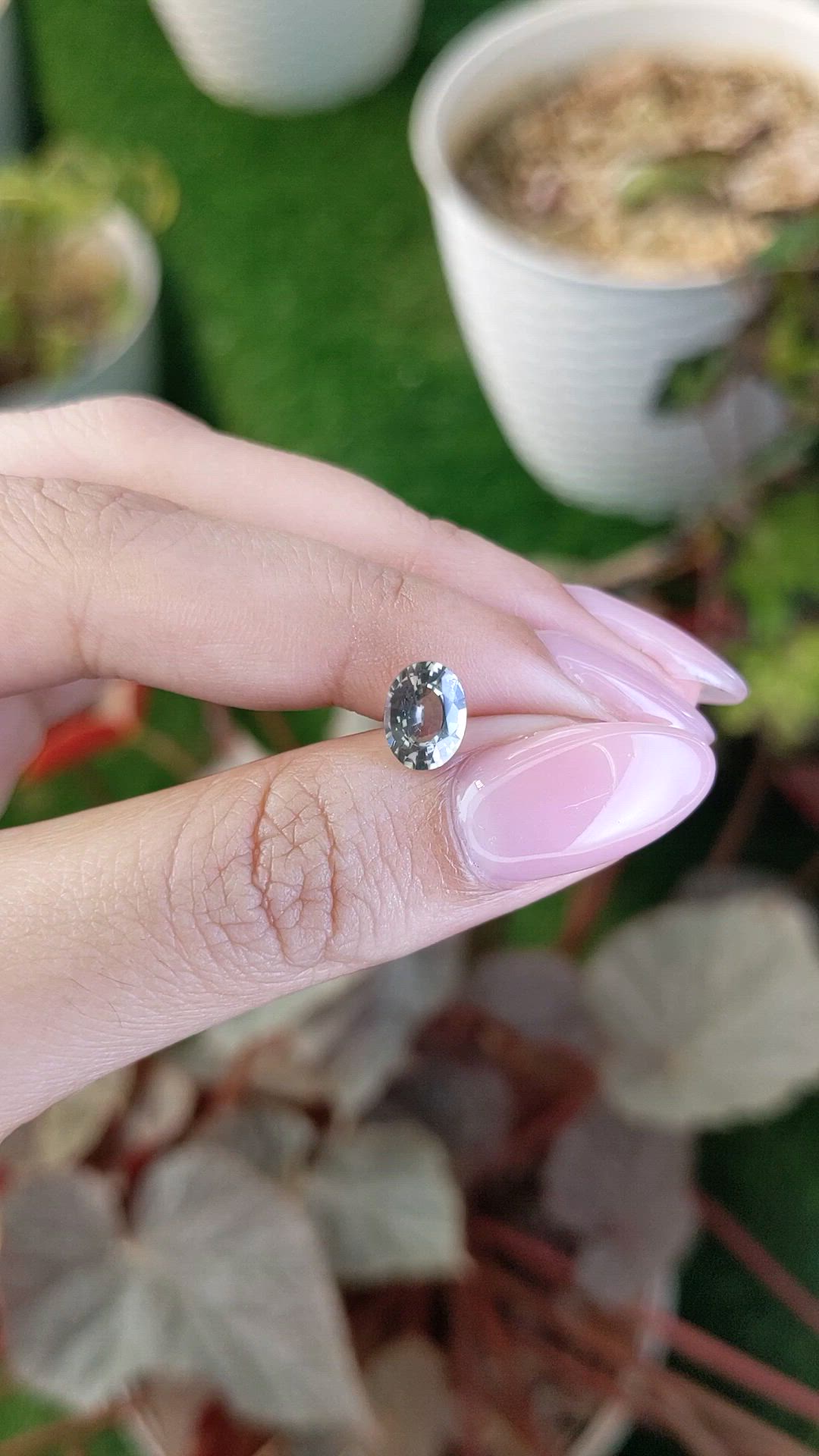 1.37 Ct. Yellowish Green Sapphire from Ceylon (Sri Lanka) Size Video
