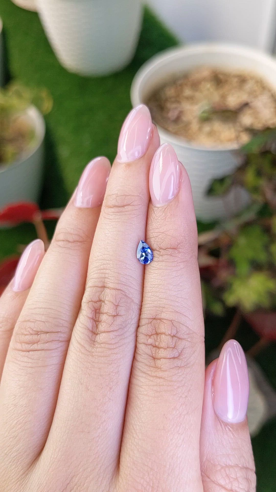 0.50 Ct. Bi Color / Parti Sapphire from Ceylon (Sri Lanka) Size Video