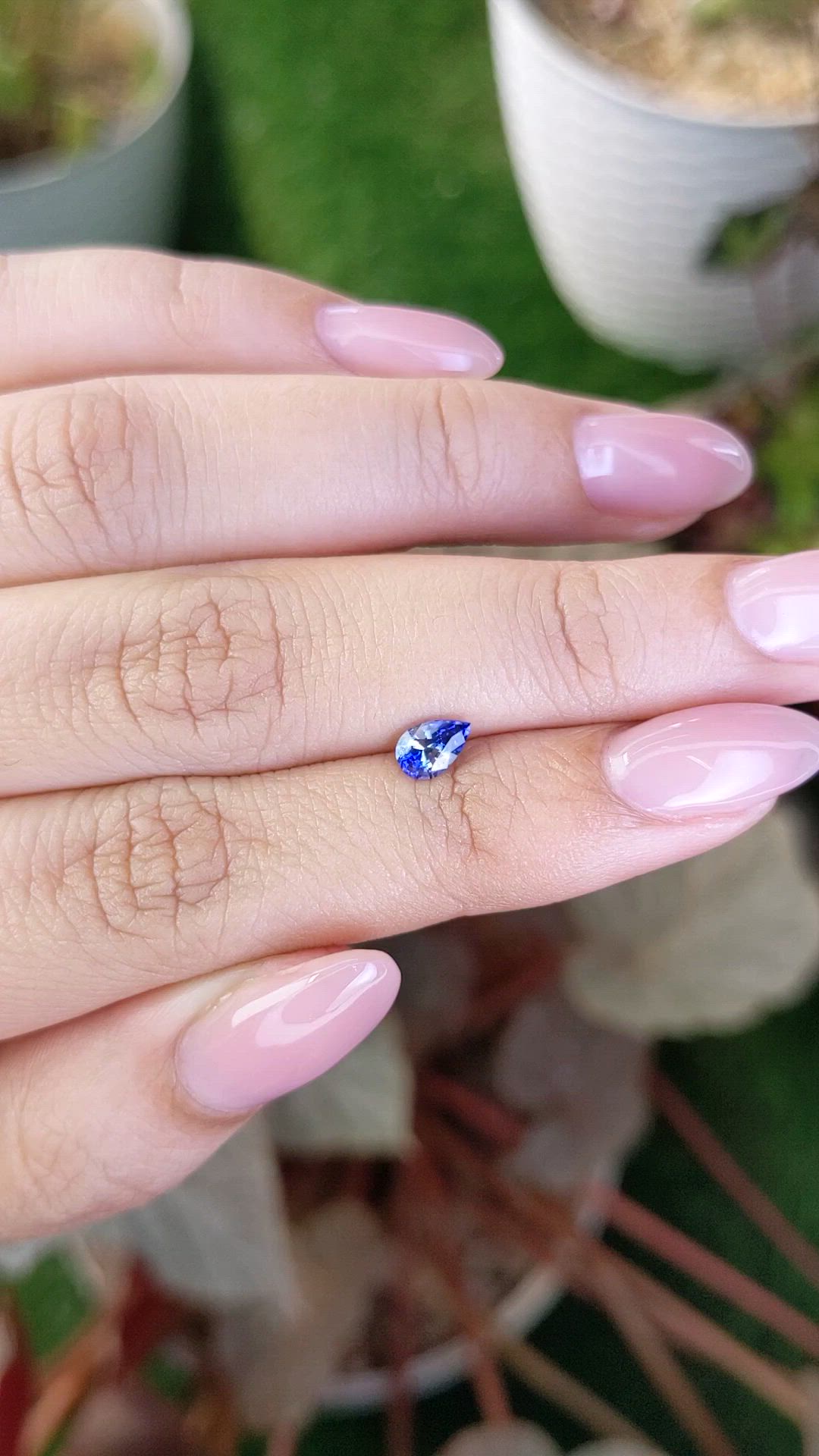 0.50 Ct. Bi Color / Parti Sapphire from Ceylon (Sri Lanka) Size Video