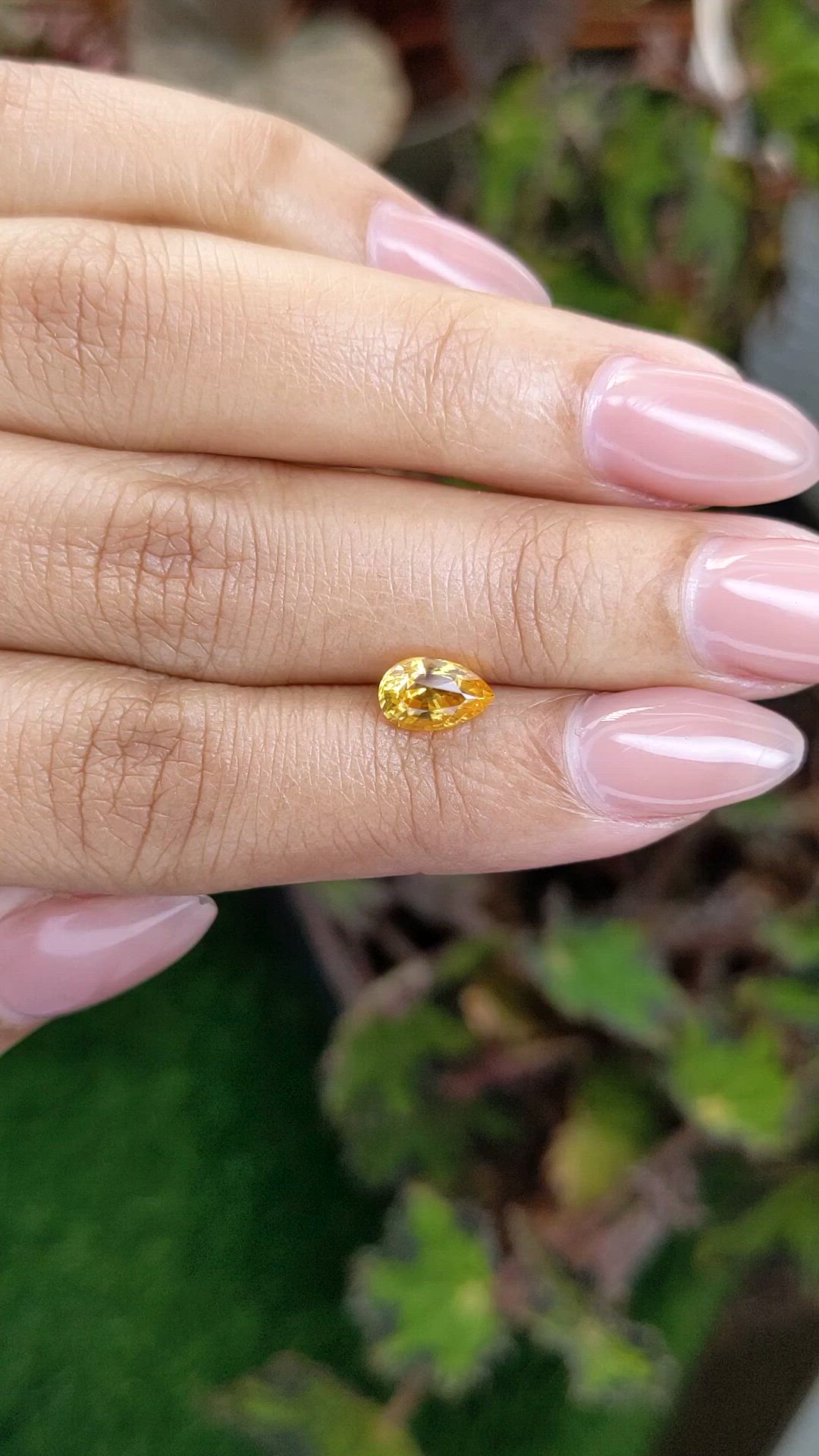 1.32 Ct. Yellow Sapphire from Ceylon (Sri Lanka) Size Video