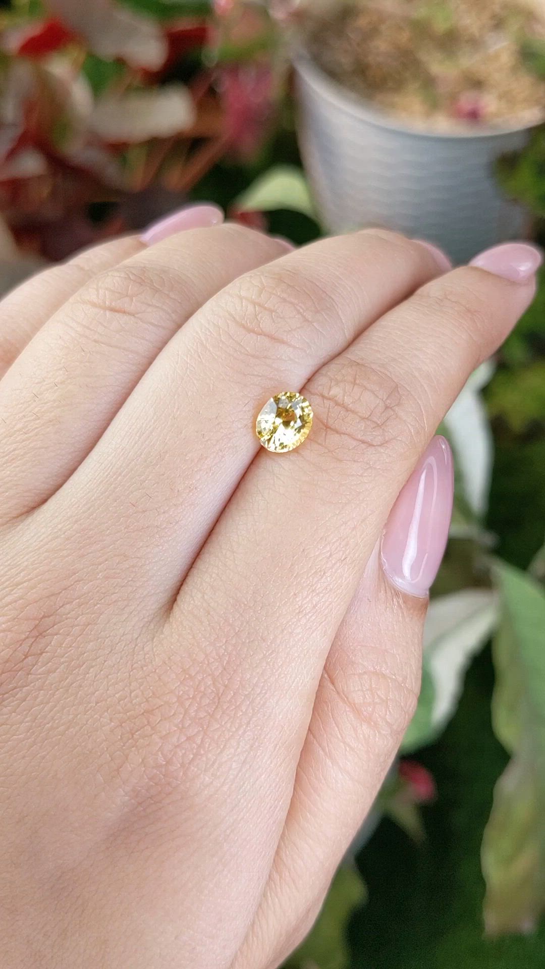1.57 Ct. Yellow Sapphire from Ceylon (Sri Lanka) Size Video