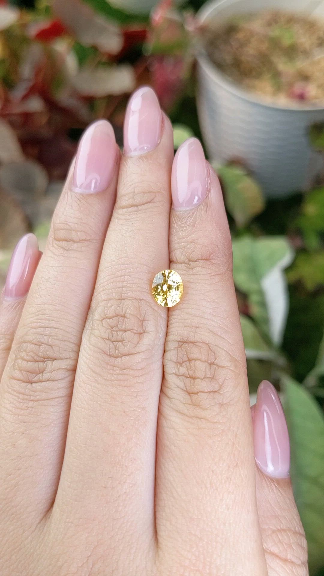 1.57 Ct. Yellow Sapphire from Ceylon (Sri Lanka) Size Video