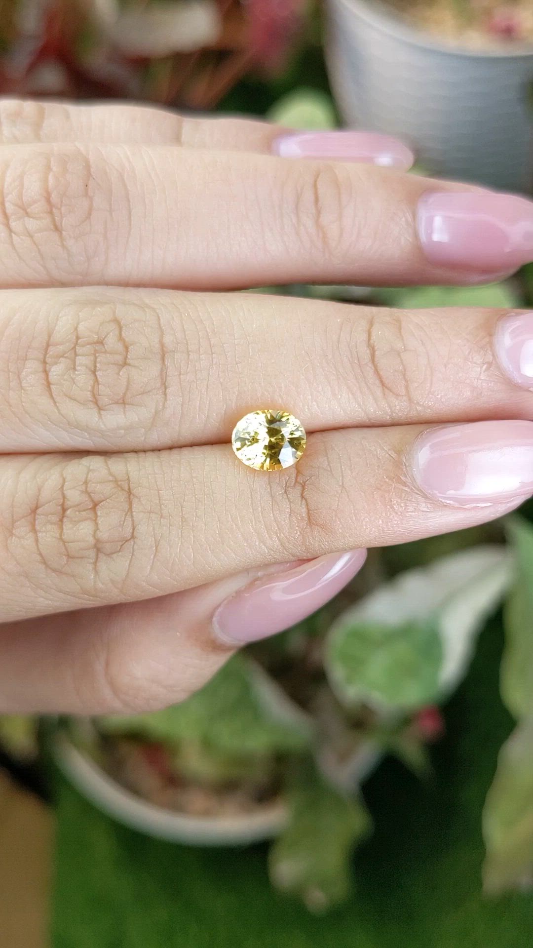 1.57 Ct. Yellow Sapphire from Ceylon (Sri Lanka) Size Video