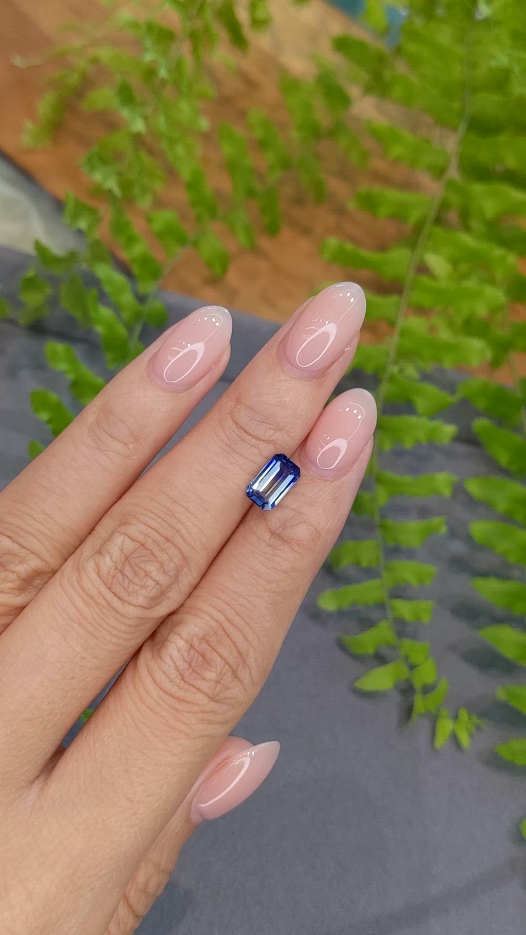 1.64 Ct. Bi Color / Parti Sapphire from Ceylon (Sri Lanka) Size Video