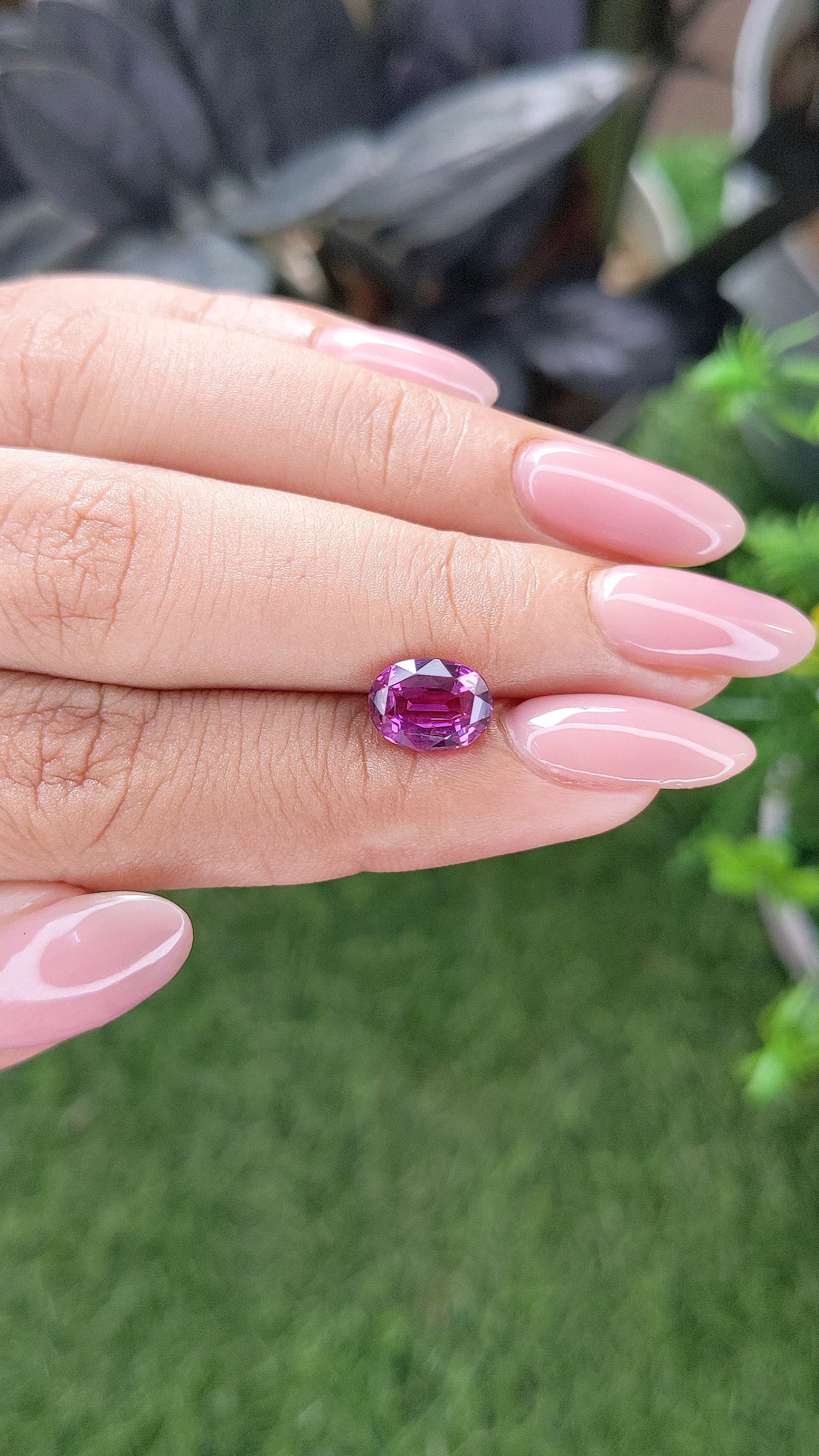 2.22 Ct. Purplish Pink Sapphire from Madagascar Size Video