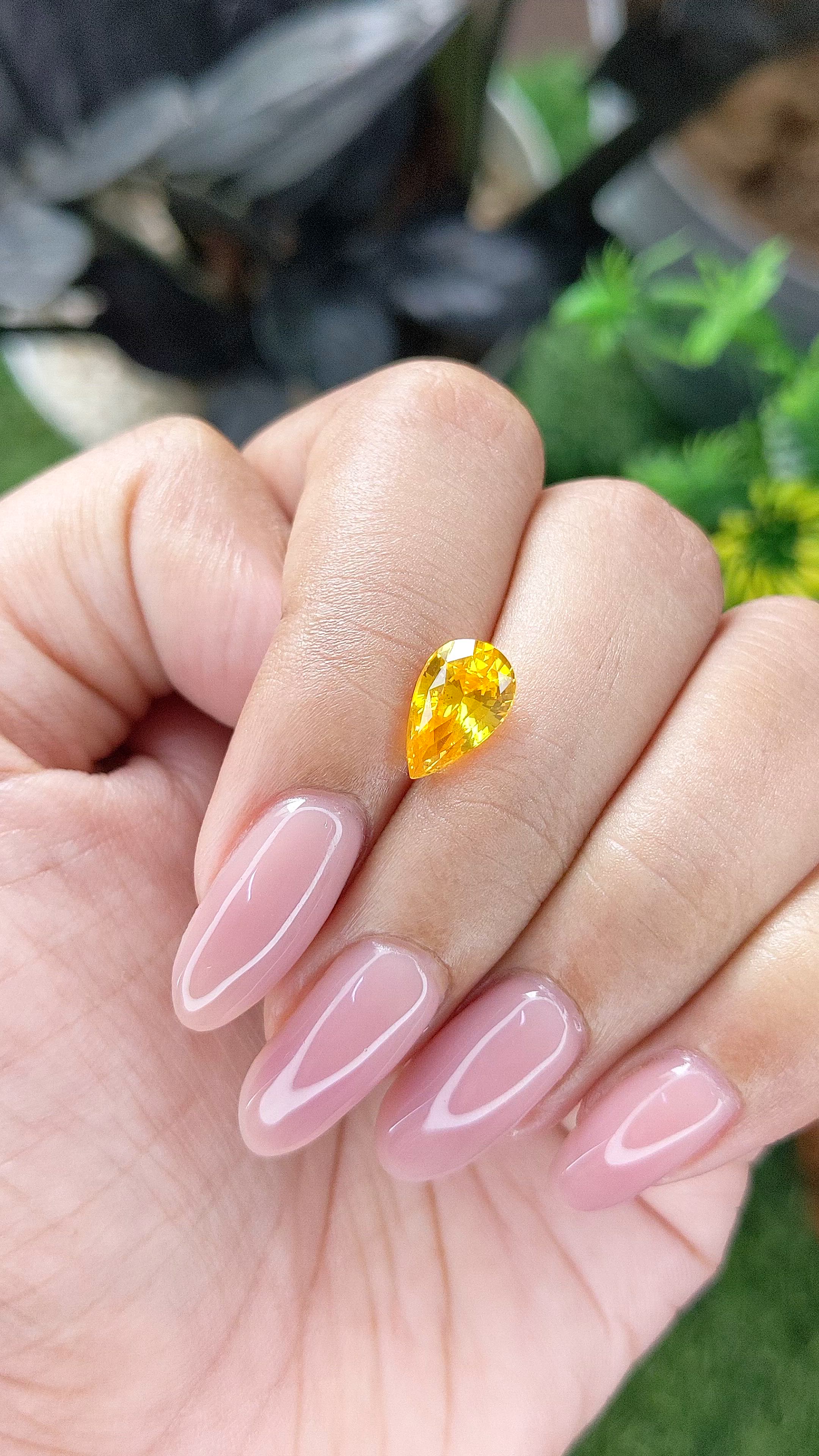 2.13 Ct. Orangish Yellow Sapphire from Ceylon (Sri Lanka) Size Video