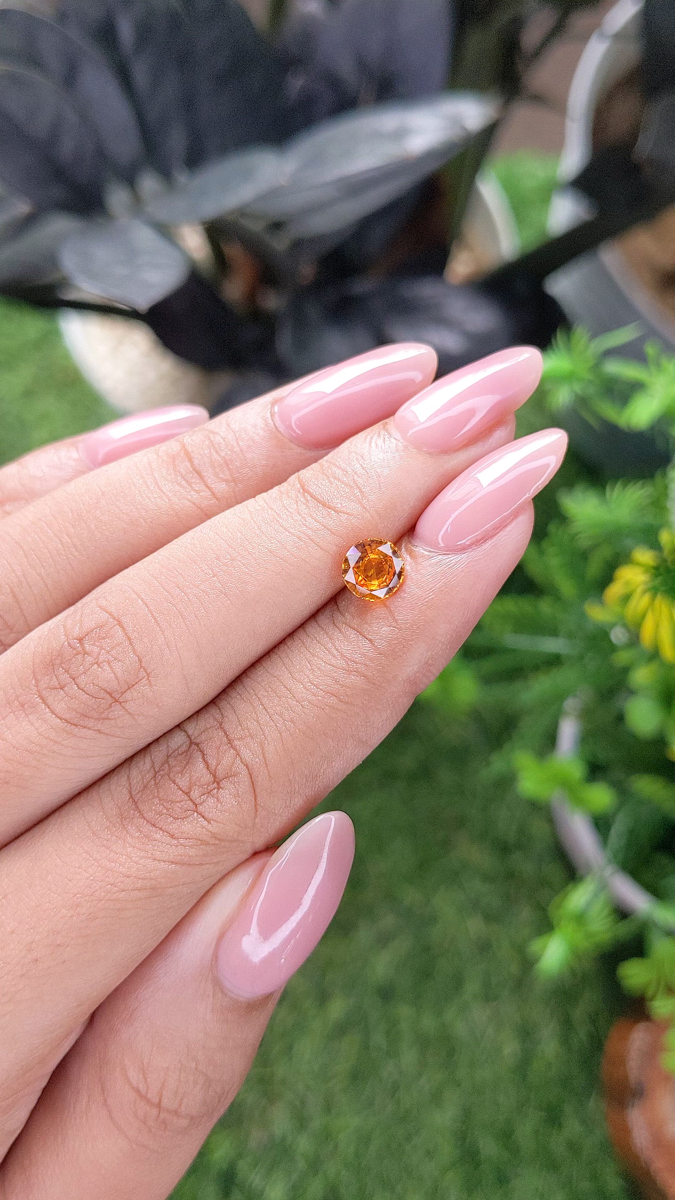 1.08 Ct. Yellowish Orange Sapphire from Ceylon (Sri Lanka) Size Video