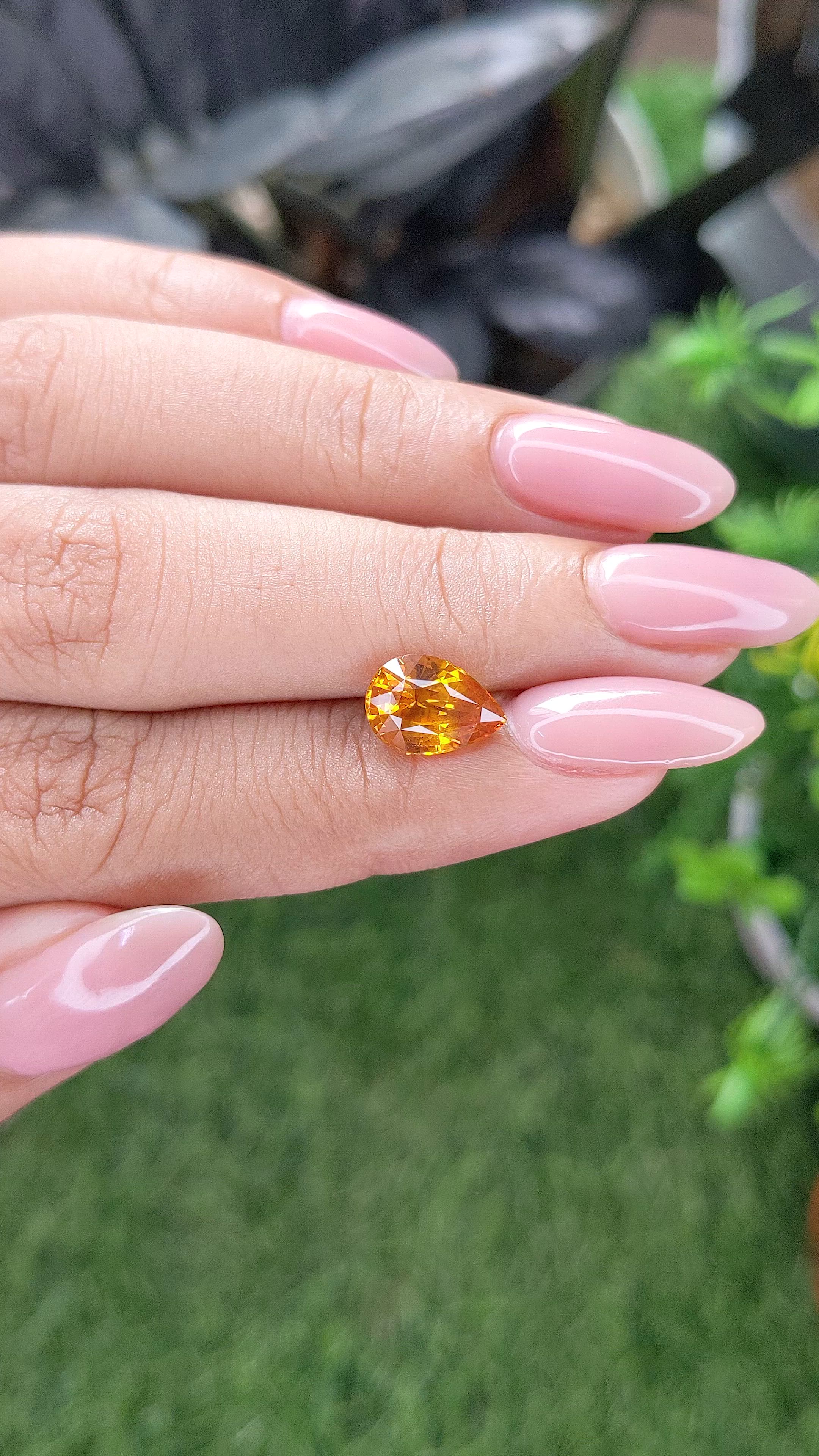 2.52 Ct. Yellowish Orange Sapphire from Ceylon (Sri Lanka) Size Video