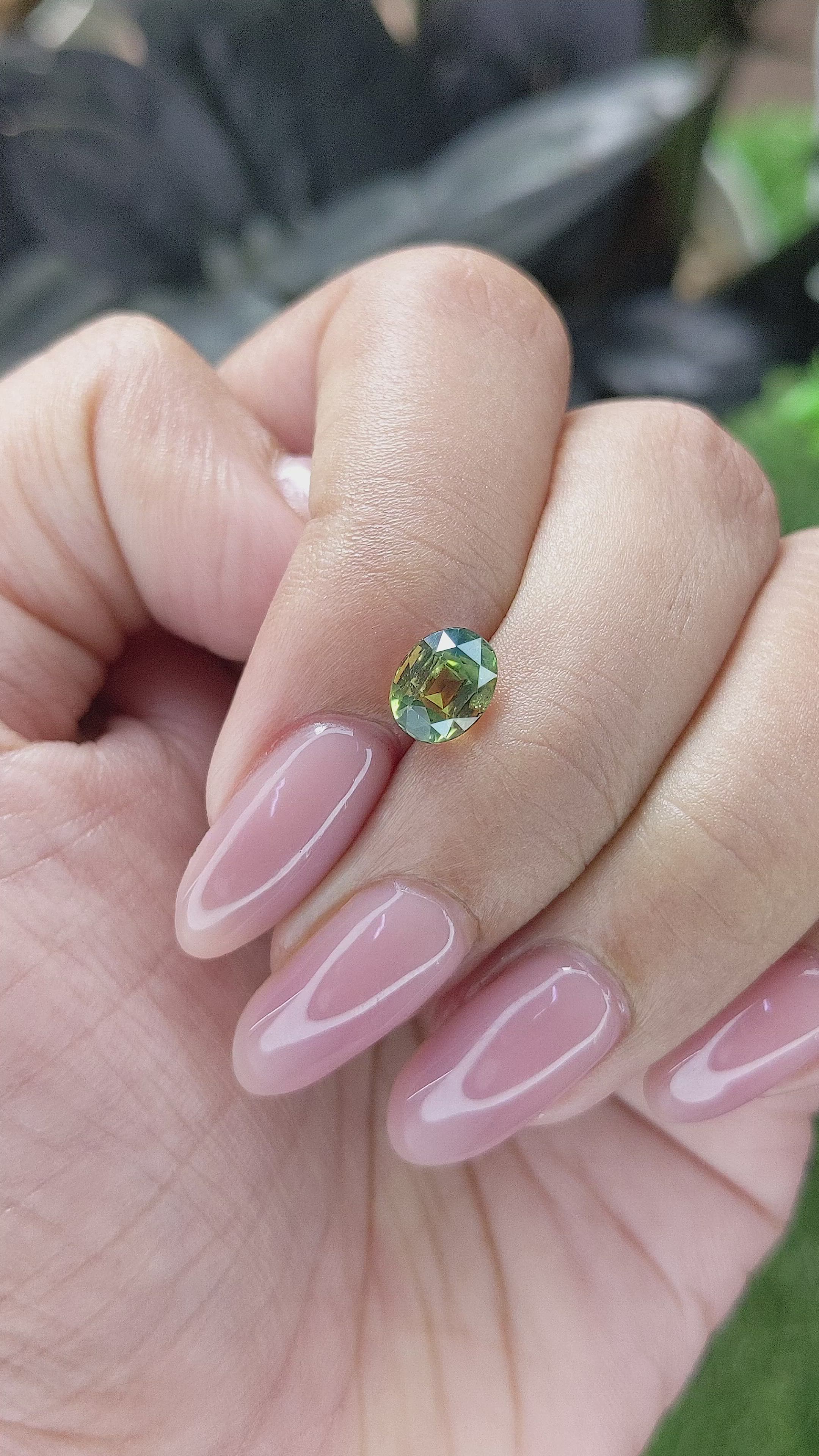 1.57 Ct. Bi Color / Parti Sapphire from Madagascar Size Video