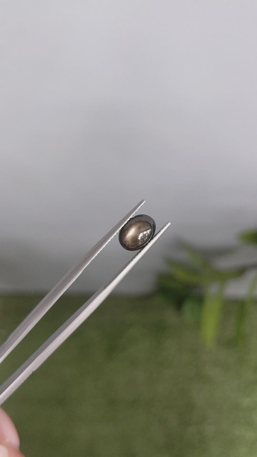 2.43 Ct. Black Star Sapphire from Ceylon (Sri Lanka) Size Video