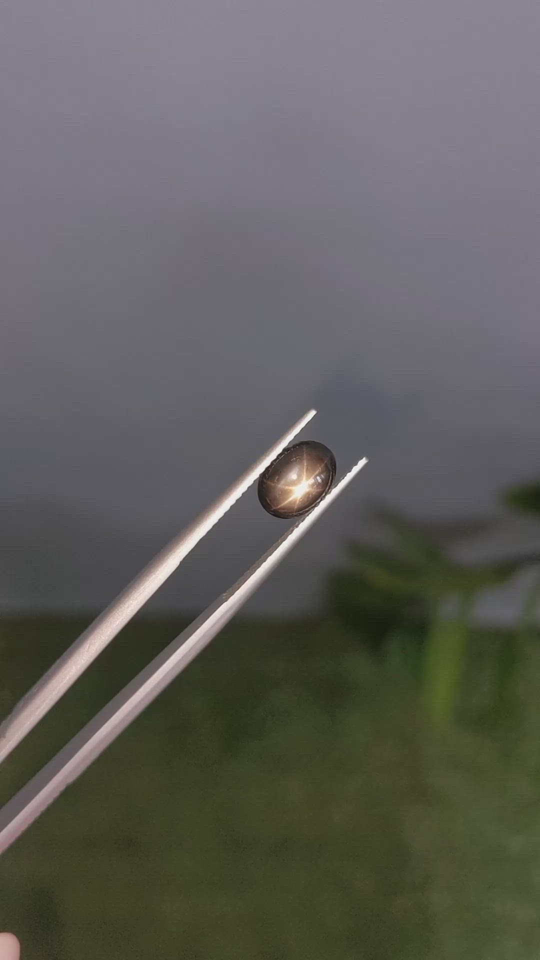 2.43 Ct. Black Star Sapphire from Ceylon (Sri Lanka) Size Video