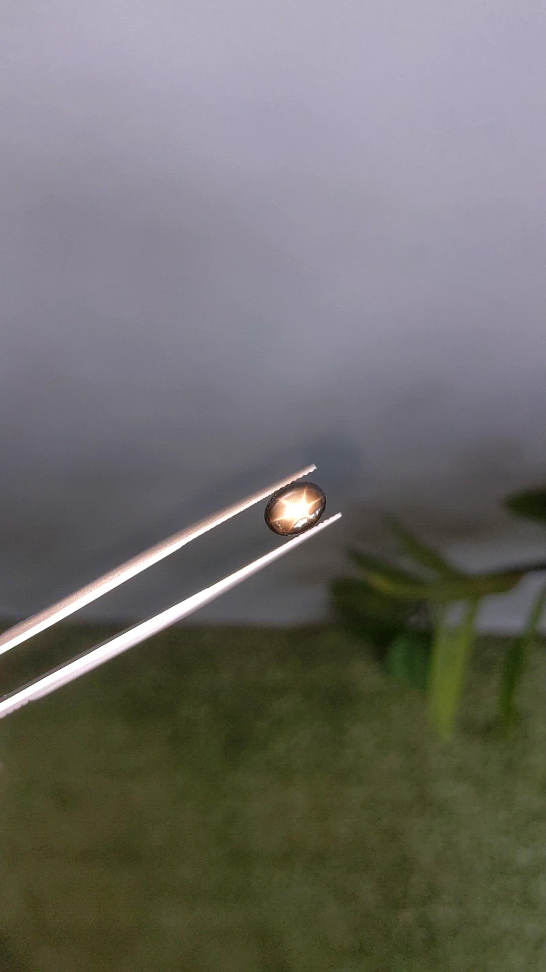 2.96 Ct. Black Star Sapphire from Ceylon (Sri Lanka) Size Video