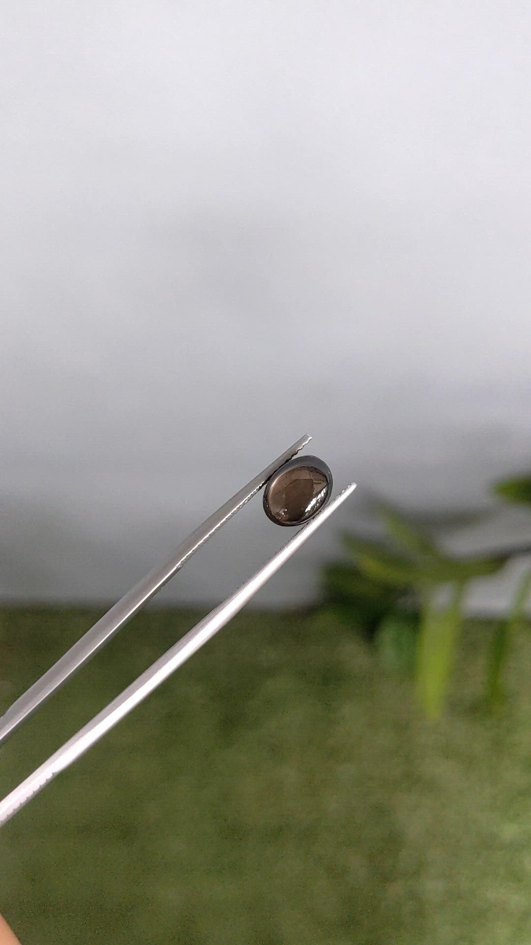 2.96 Ct. Black Star Sapphire from Ceylon (Sri Lanka) Size Video