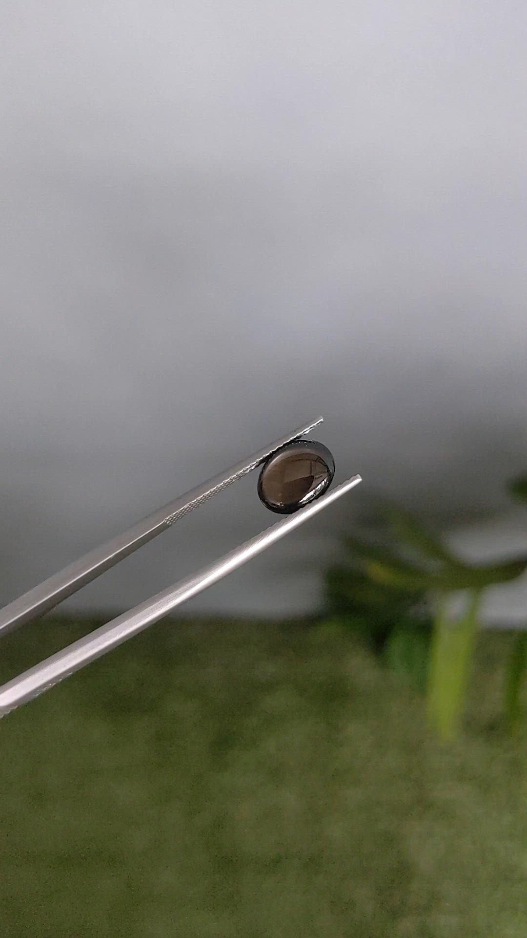 2.90 Ct. Black Star Sapphire from Ceylon (Sri Lanka) Size Video
