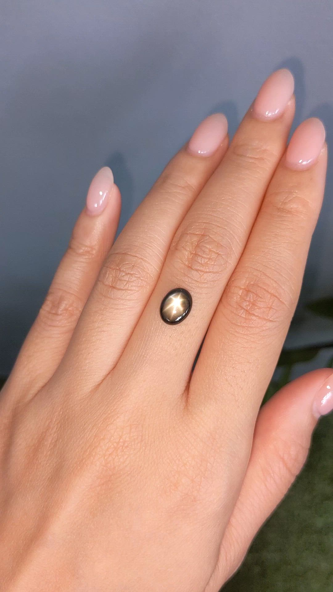 2.90 Ct. Black Star Sapphire from Ceylon (Sri Lanka) Size Video