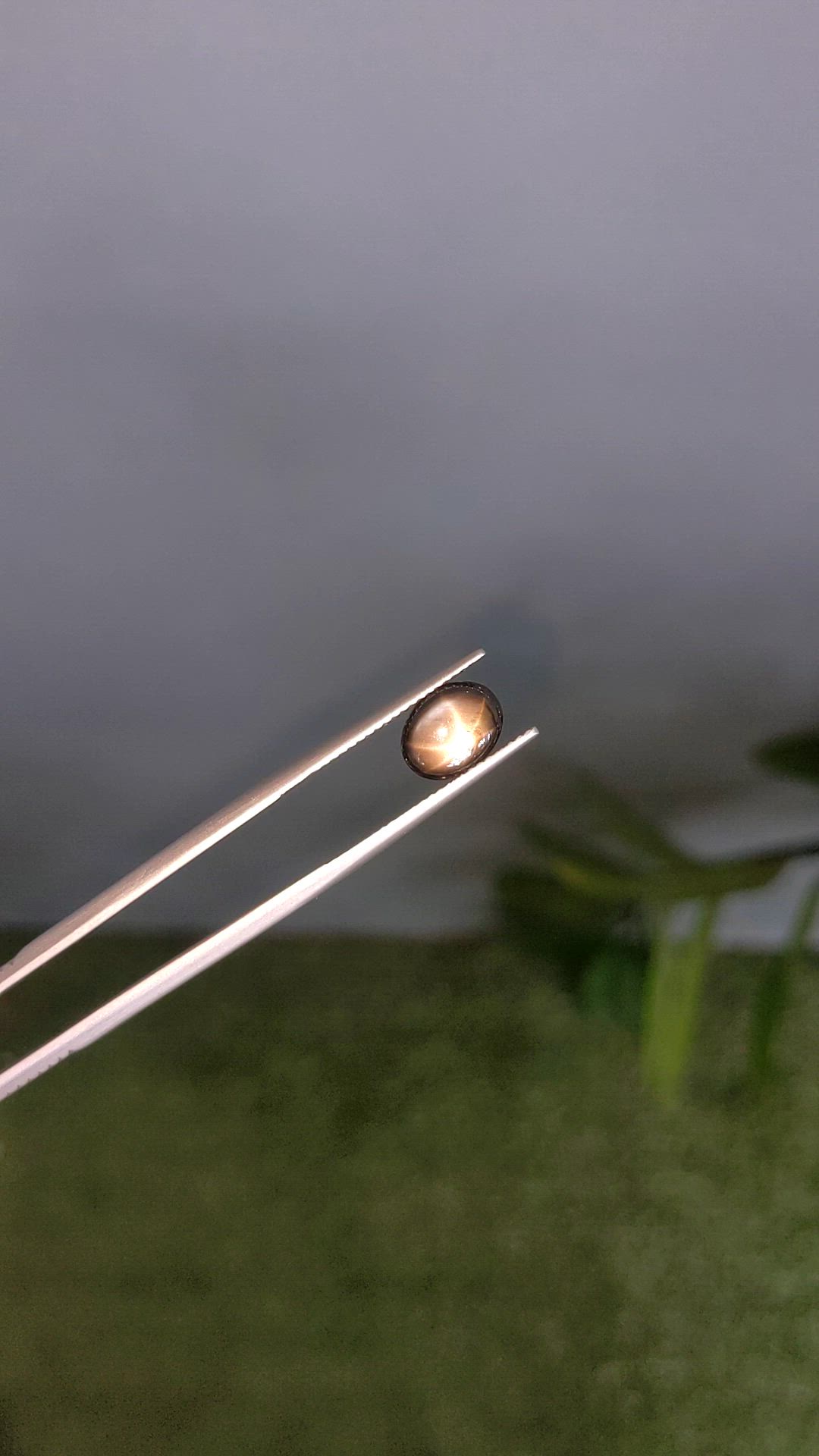 2.90 Ct. Black Star Sapphire from Ceylon (Sri Lanka) Size Video