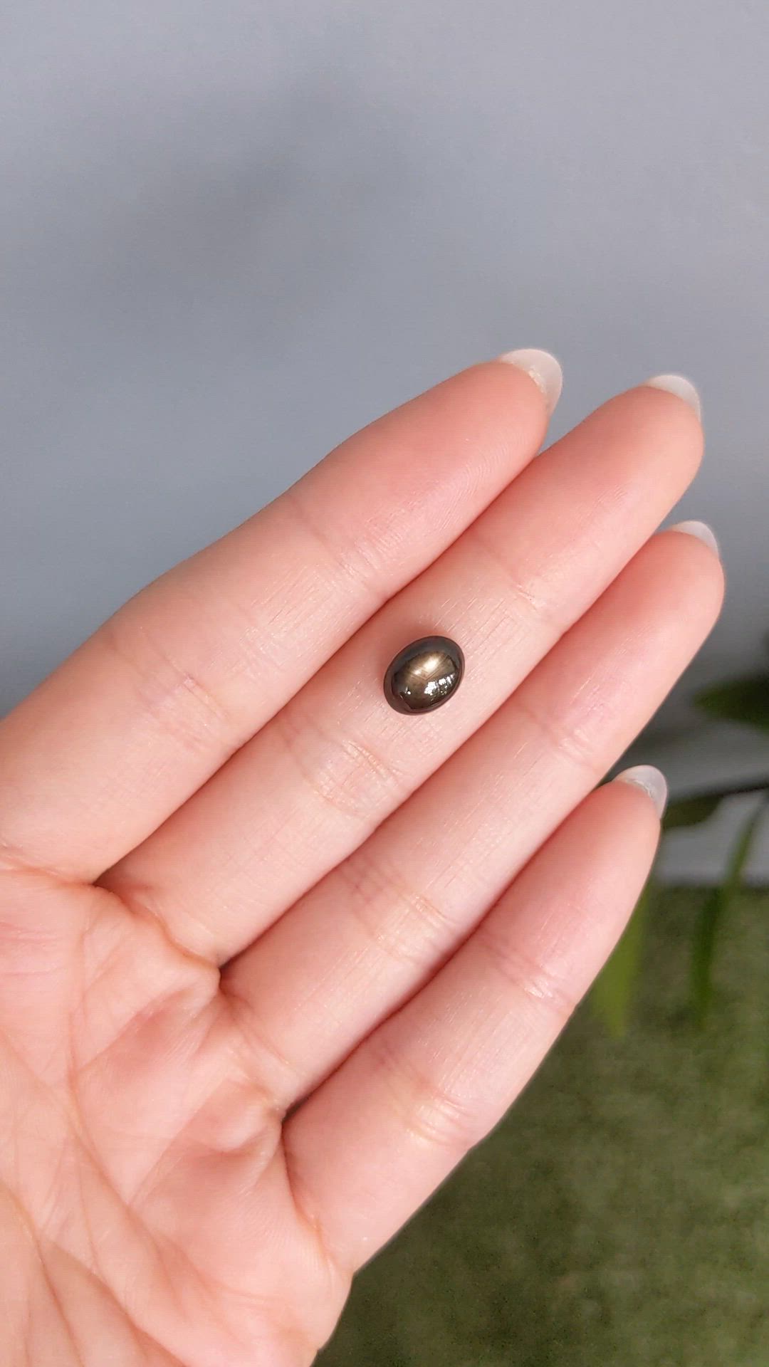 2.48 Ct. Black Star Sapphire from Ceylon (Sri Lanka) Size Video