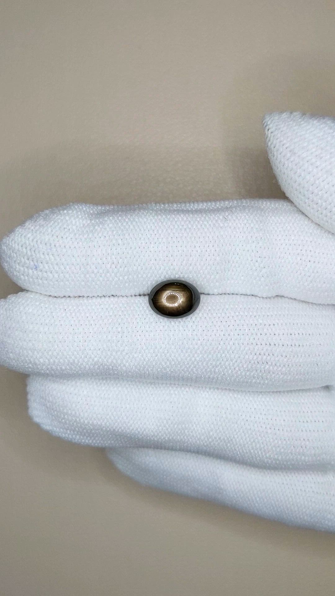 2.48 Ct. Black Star Sapphire from Ceylon (Sri Lanka) Size Video