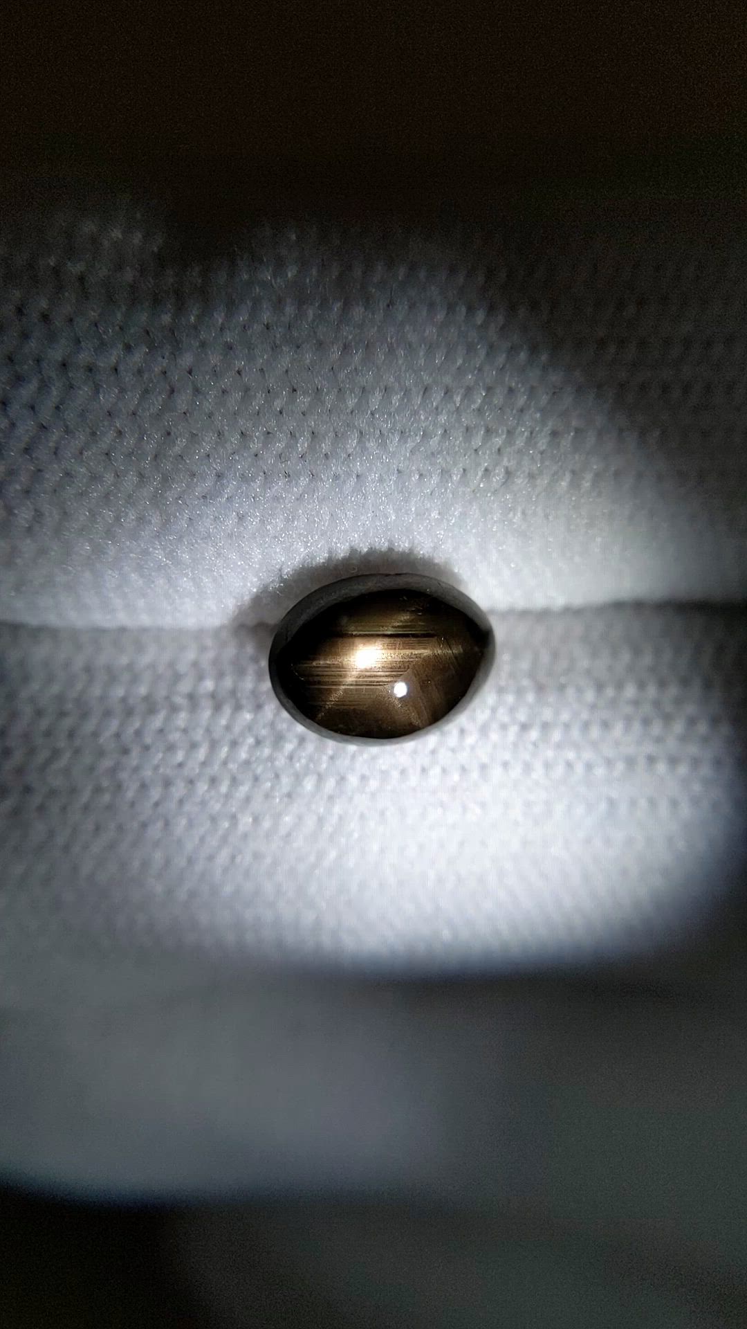 2.48 Ct. Black Star Sapphire from Ceylon (Sri Lanka) Size Video