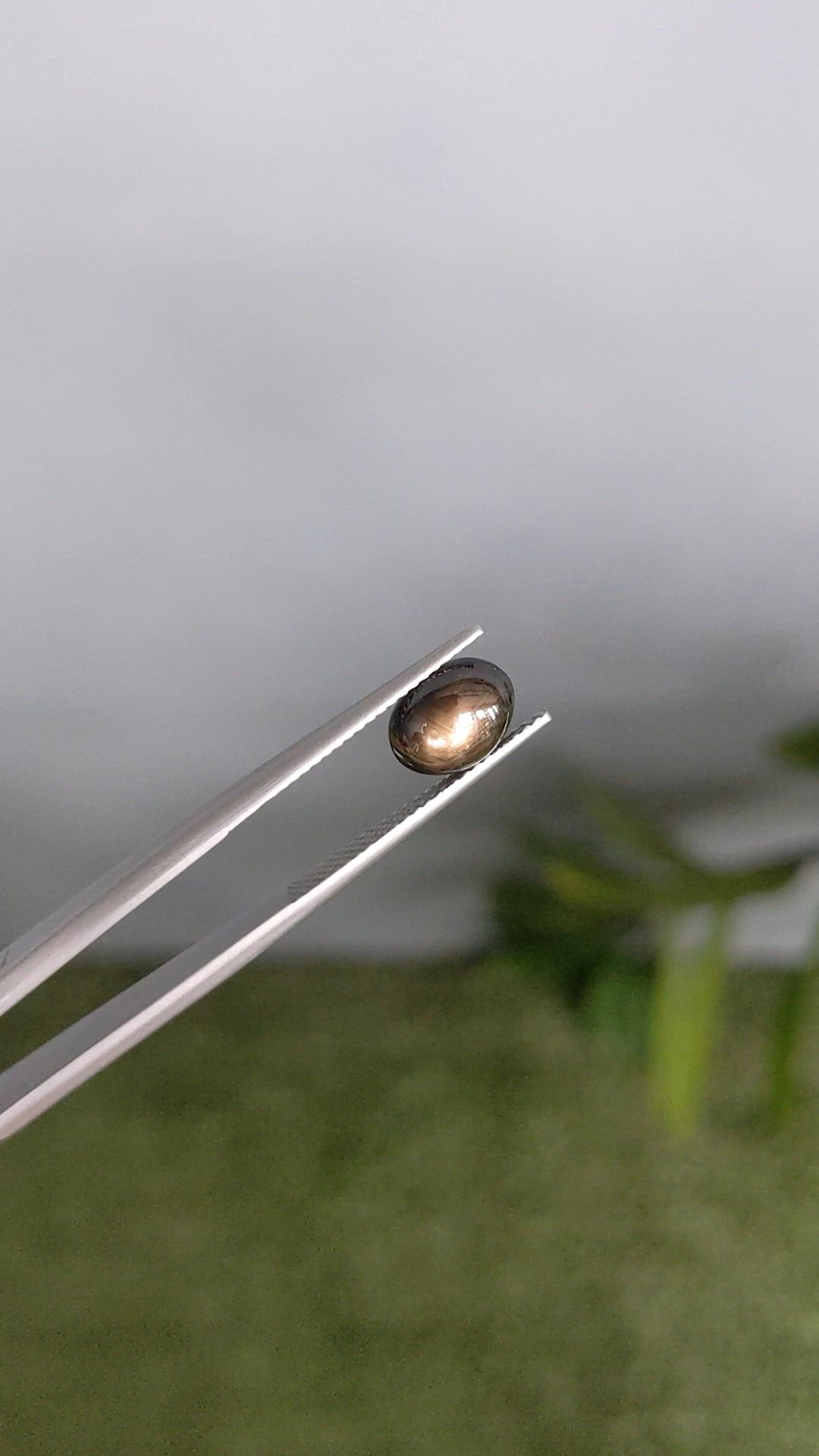 2.48 Ct. Black Star Sapphire from Ceylon (Sri Lanka) Size Video