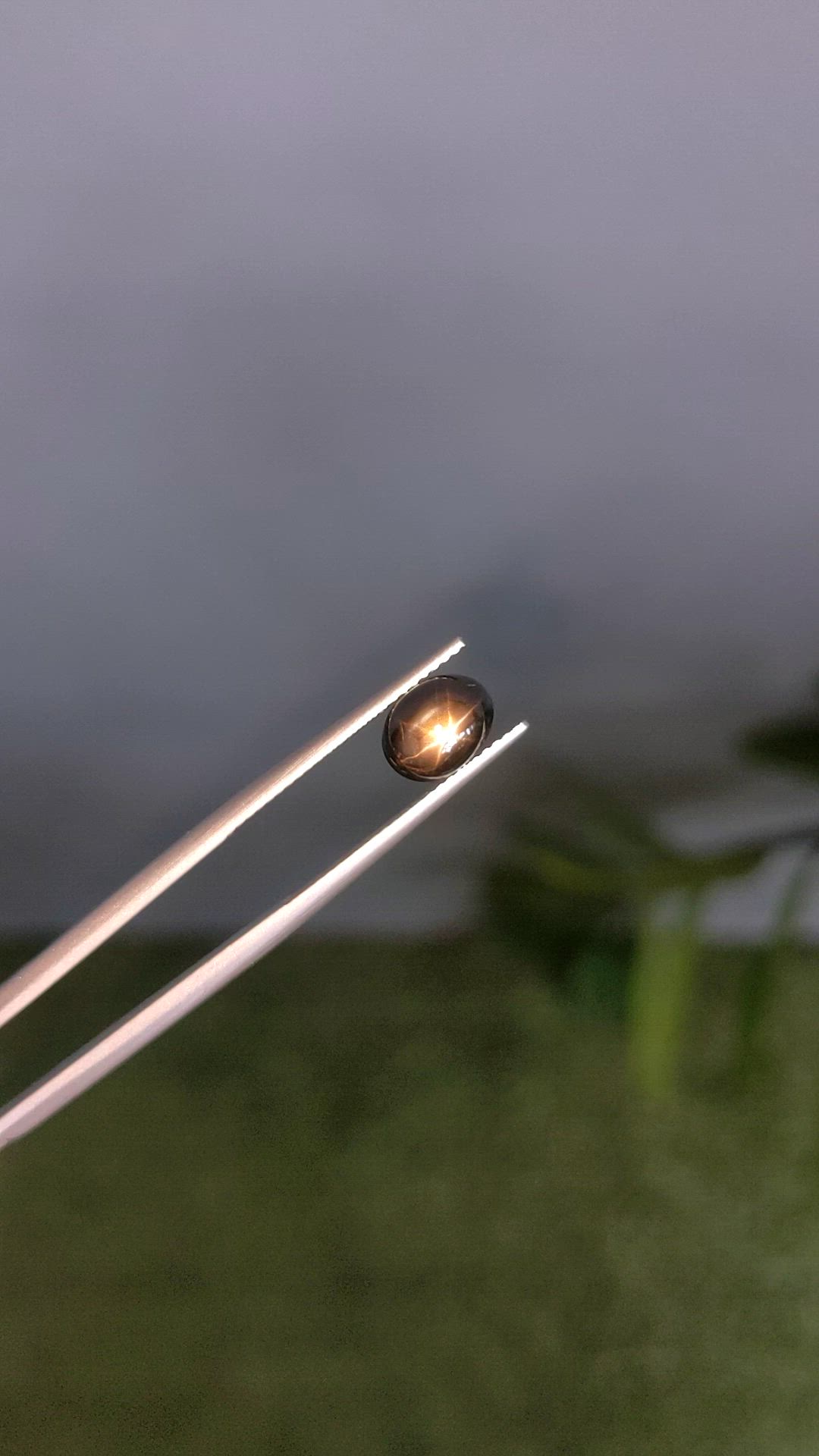 2.55 Ct. Black Star Sapphire from Ceylon (Sri Lanka) Size Video