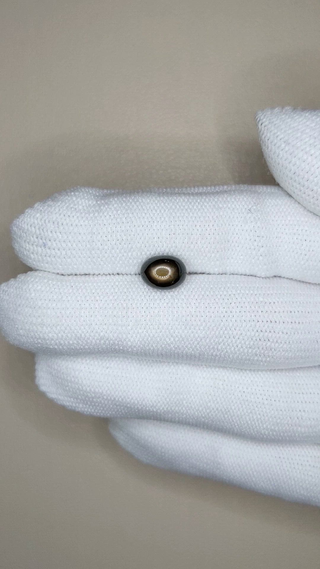 2.55 Ct. Black Star Sapphire from Ceylon (Sri Lanka) Size Video