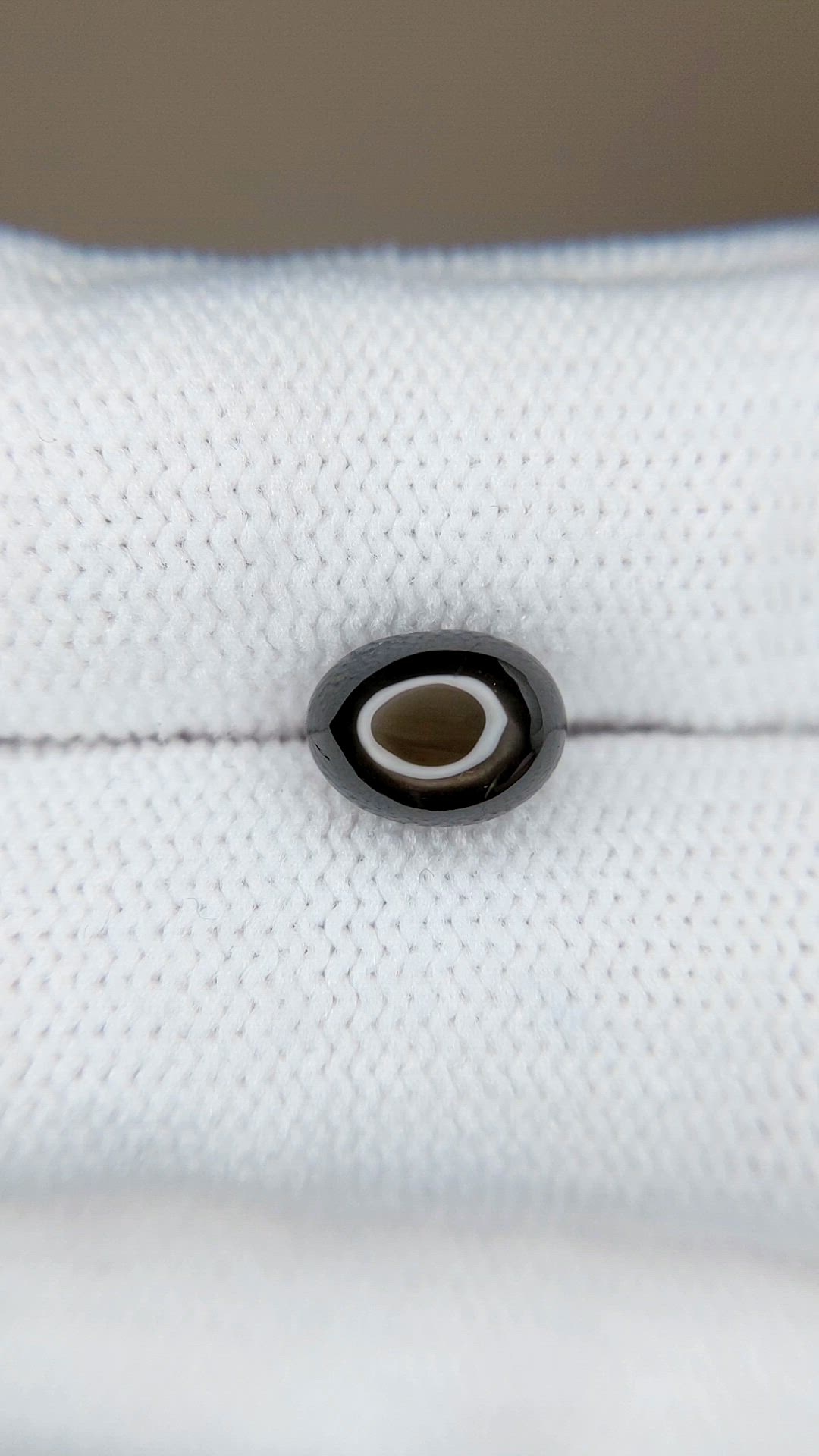 2.55 Ct. Black Star Sapphire from Ceylon (Sri Lanka) Size Video