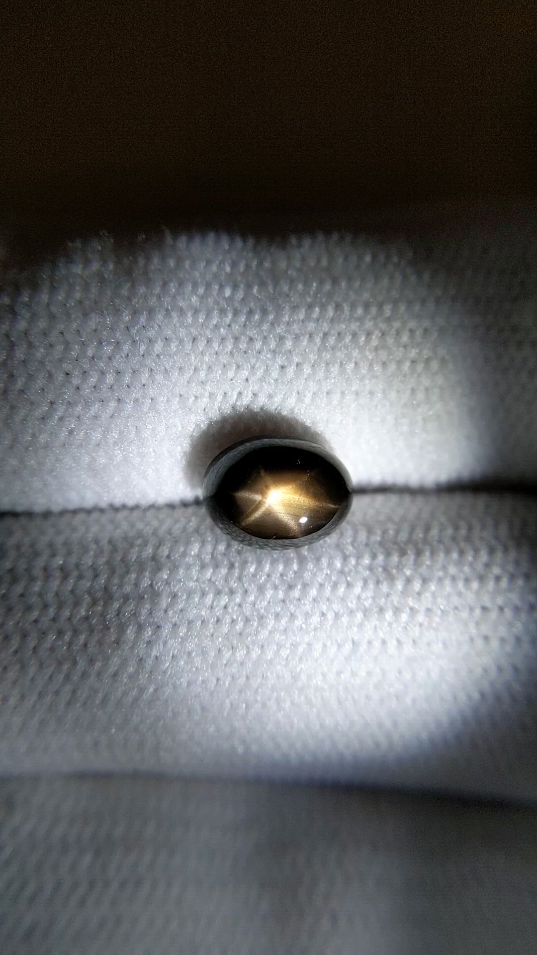 2.55 Ct. Black Star Sapphire from Ceylon (Sri Lanka) Size Video