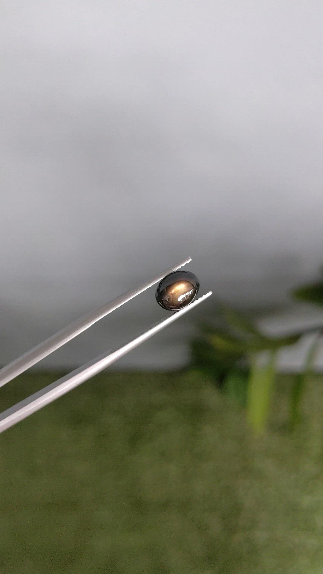 2.55 Ct. Black Star Sapphire from Ceylon (Sri Lanka) Size Video