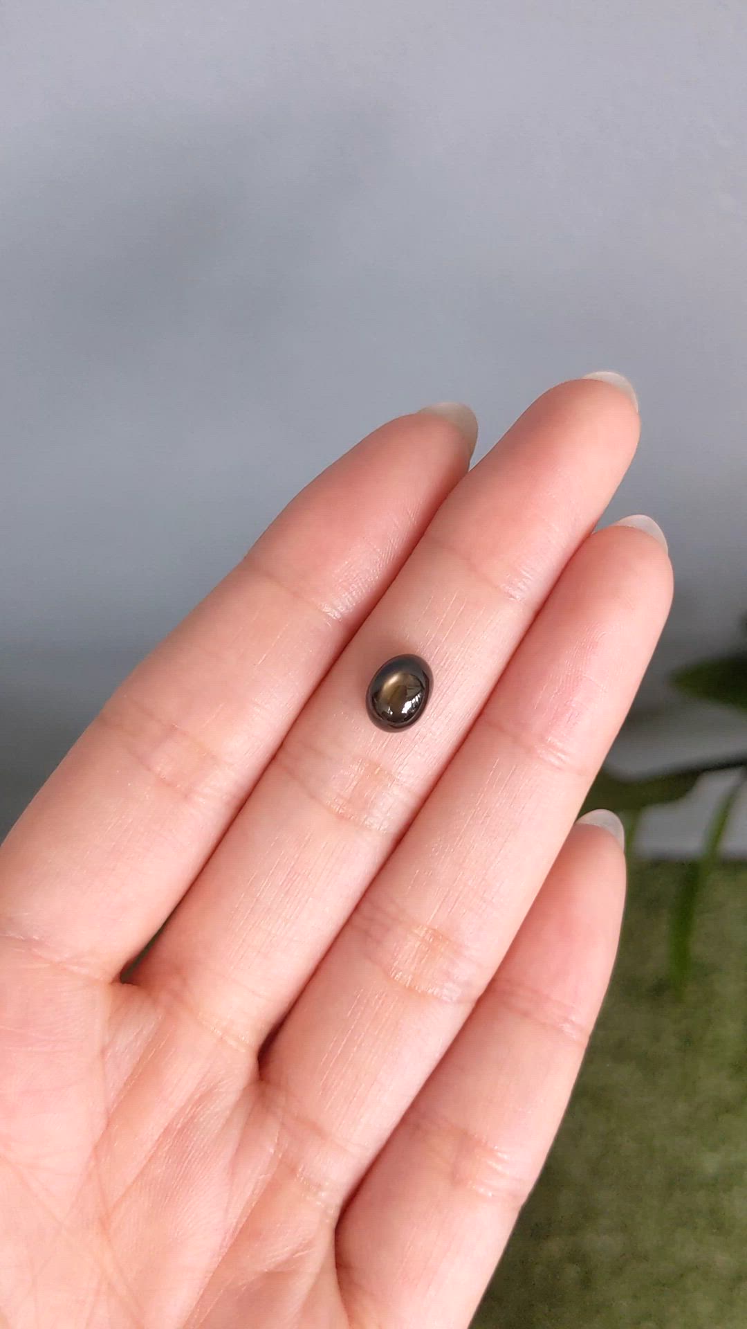 2.55 Ct. Black Star Sapphire from Ceylon (Sri Lanka) Size Video
