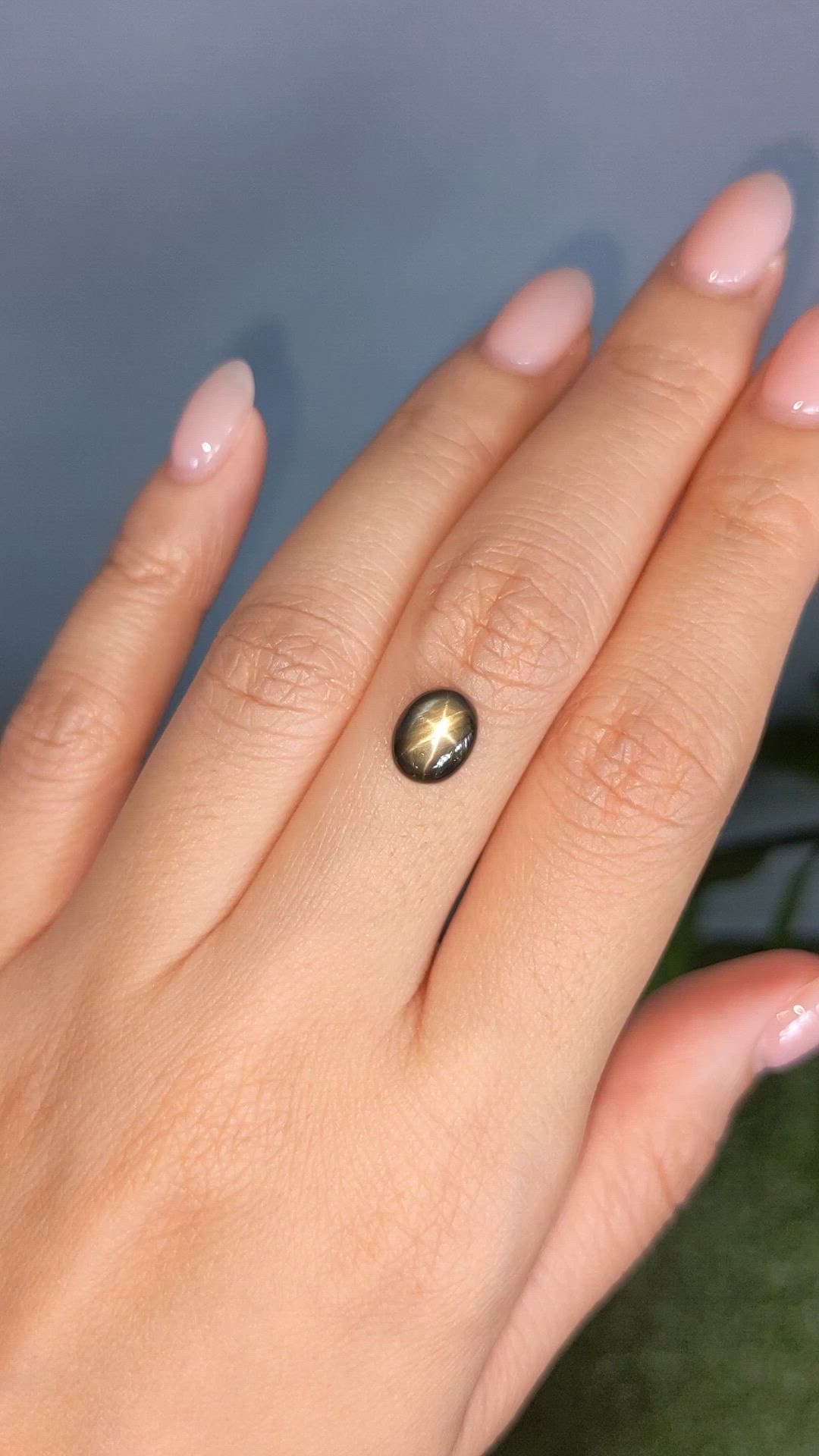 2.84 Ct. Black Star Sapphire from Ceylon (Sri Lanka) Size Video