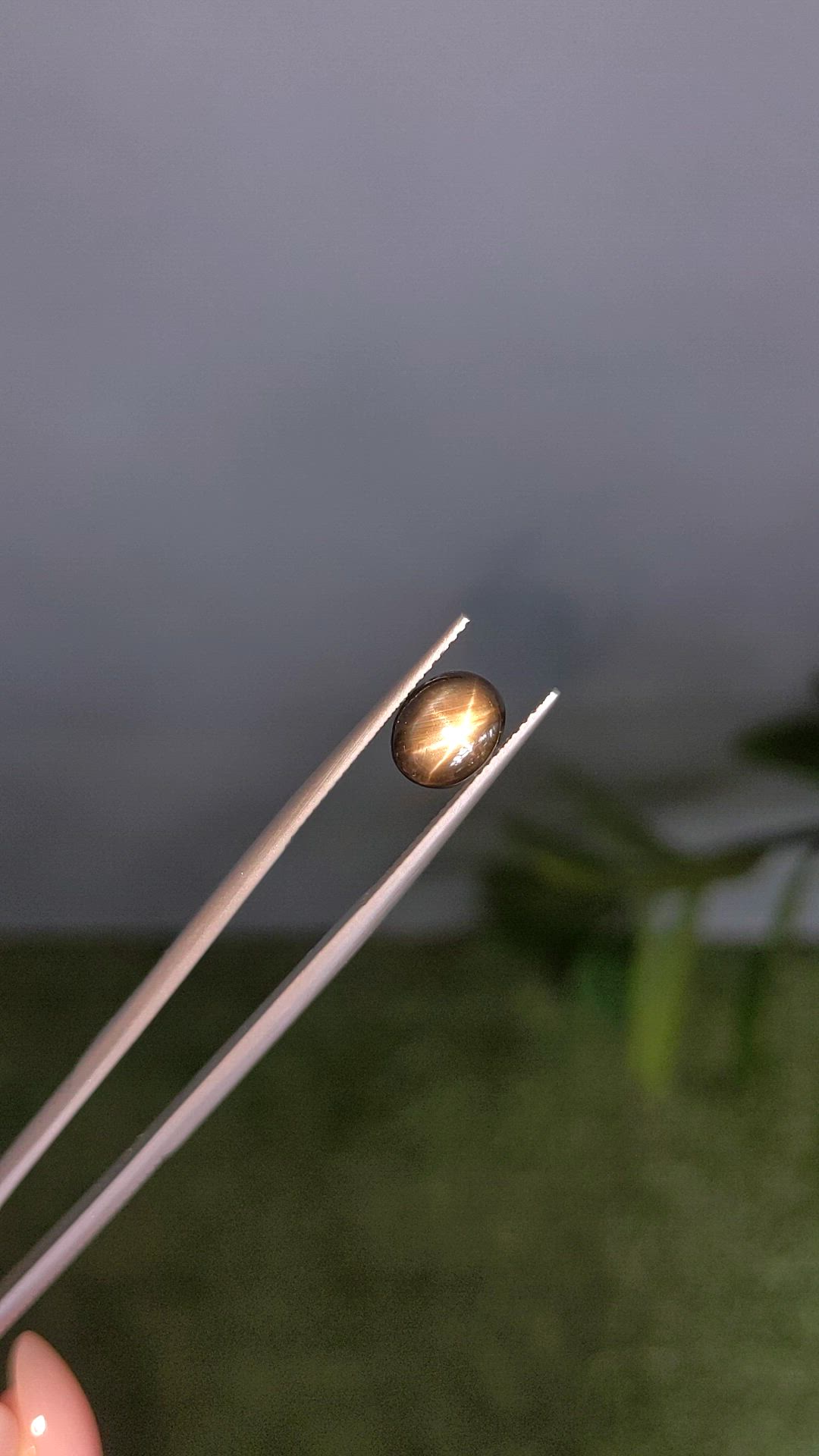 2.84 Ct. Black Star Sapphire from Ceylon (Sri Lanka) Size Video
