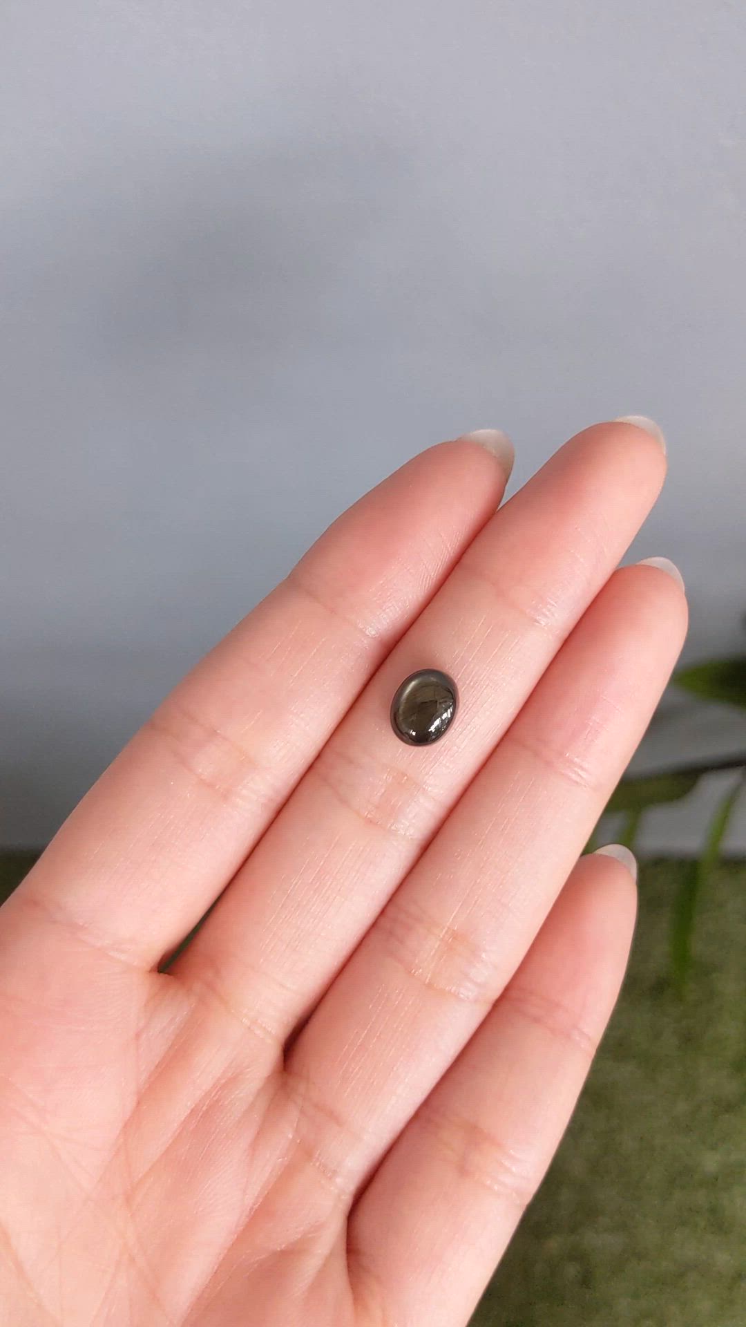 2.84 Ct. Black Star Sapphire from Ceylon (Sri Lanka) Size Video