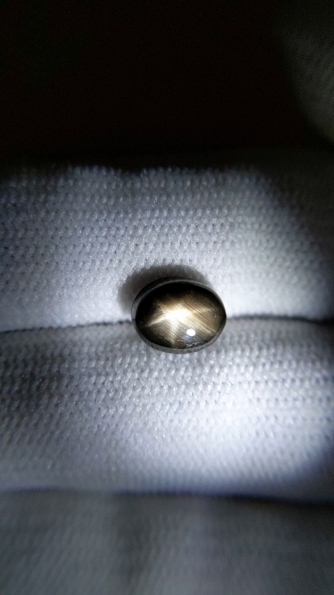 2.84 Ct. Black Star Sapphire from Ceylon (Sri Lanka) Size Video