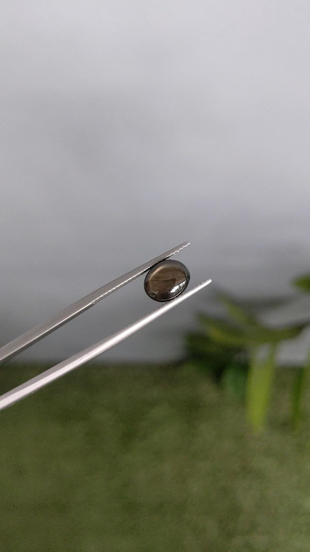 2.84 Ct. Black Star Sapphire from Ceylon (Sri Lanka) Size Video