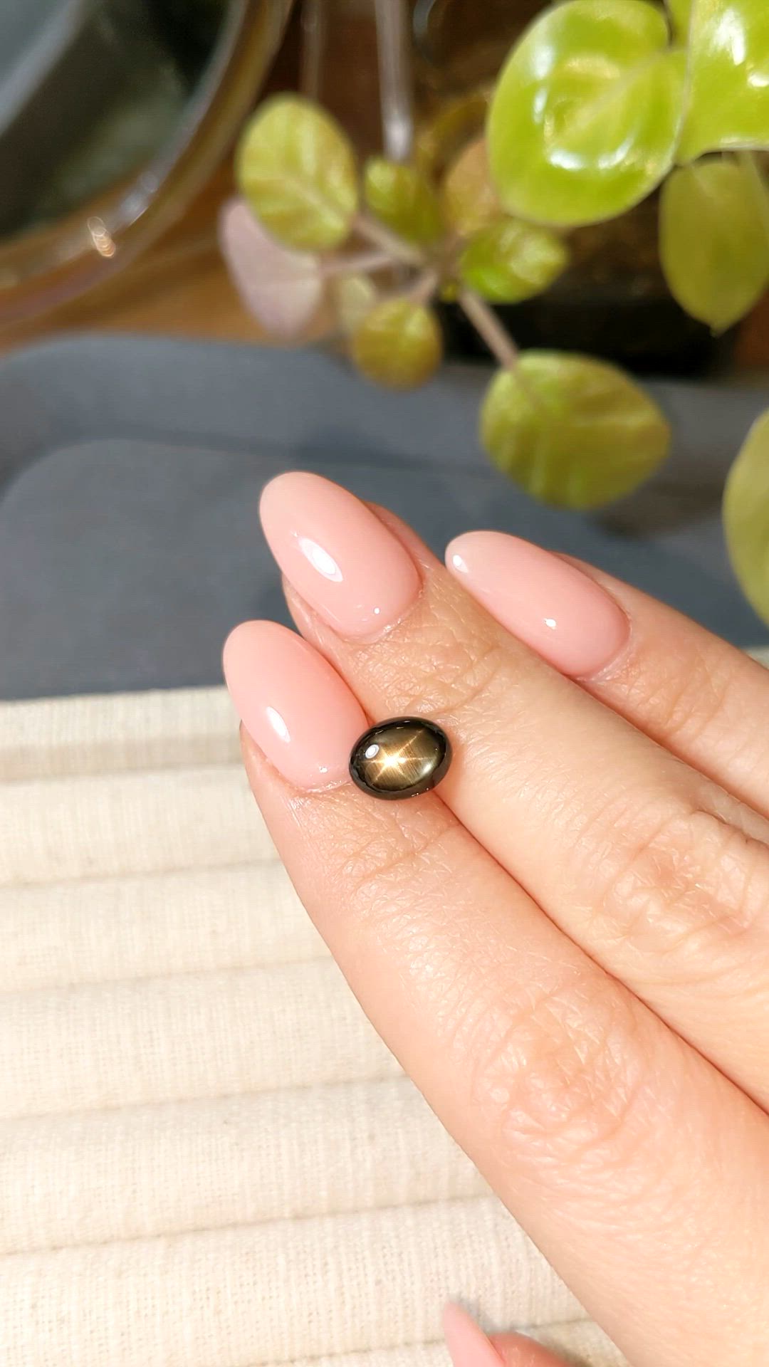 3.21 Ct. Black Star Sapphire from Ceylon (Sri Lanka) Size Video