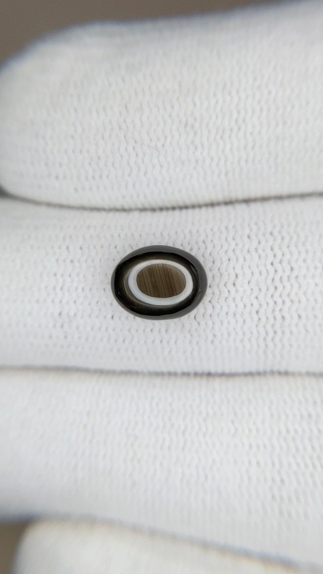 3.21 Ct. Black Star Sapphire from Ceylon (Sri Lanka) Size Video