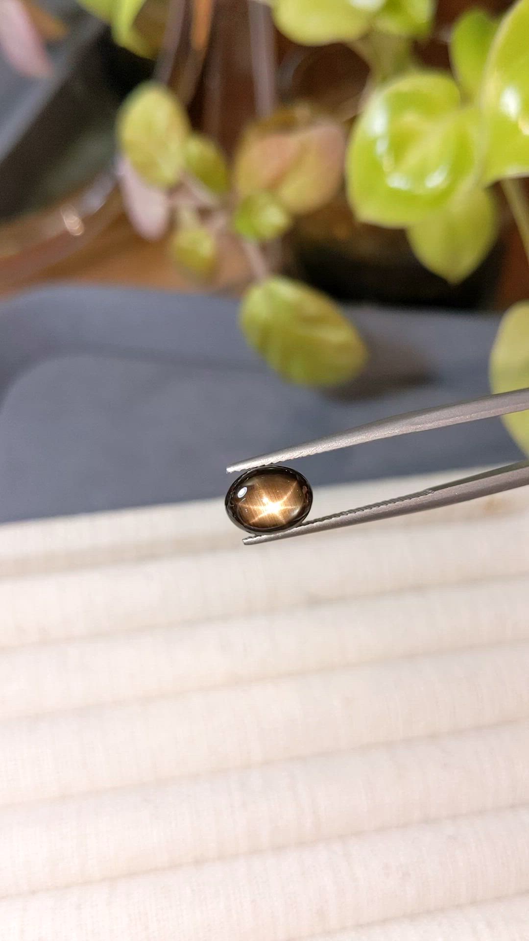 3.21 Ct. Black Star Sapphire from Ceylon (Sri Lanka) Size Video
