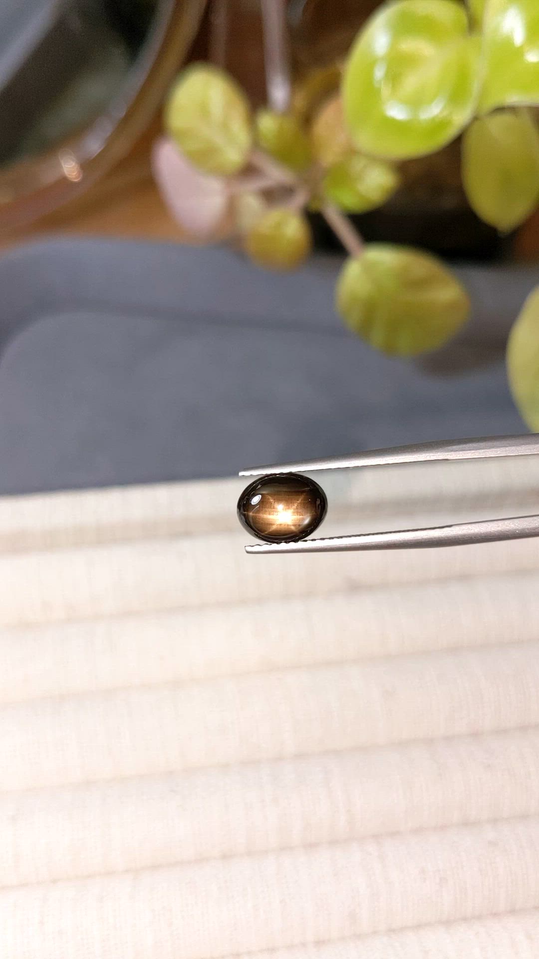 2.36 Ct. Black Star Sapphire from Ceylon (Sri Lanka) Size Video