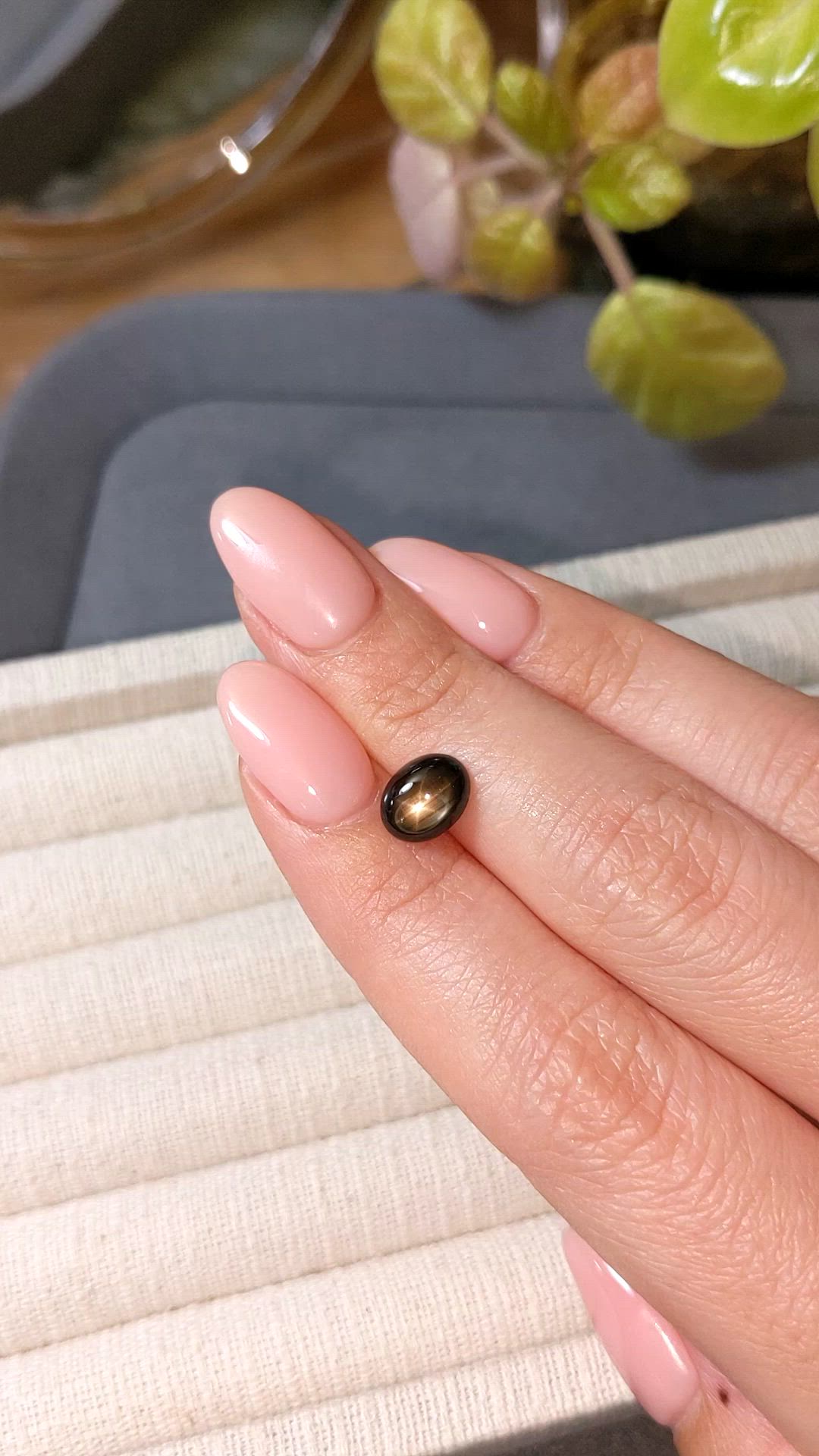 2.36 Ct. Black Star Sapphire from Ceylon (Sri Lanka) Size Video