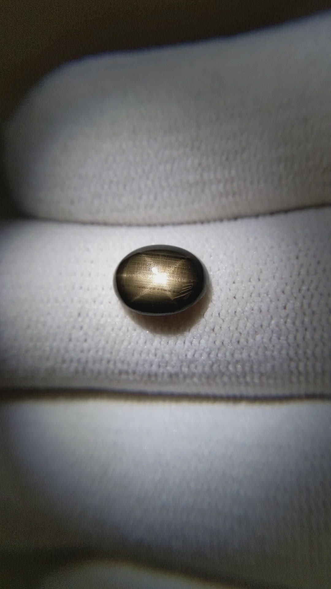 2.36 Ct. Black Star Sapphire from Ceylon (Sri Lanka) Size Video