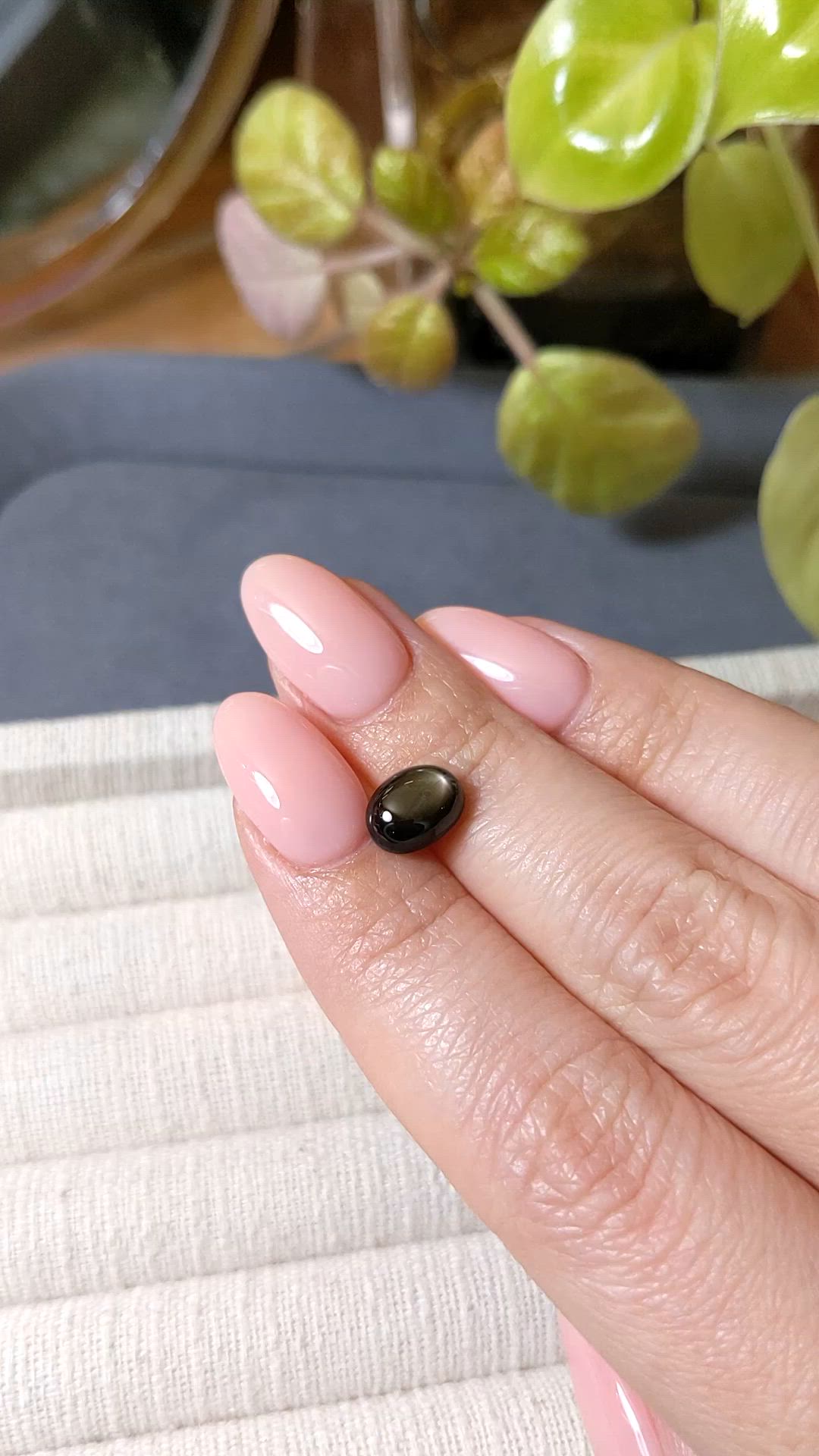 3.29 Ct. Black Star Sapphire from Ceylon (Sri Lanka) Size Video
