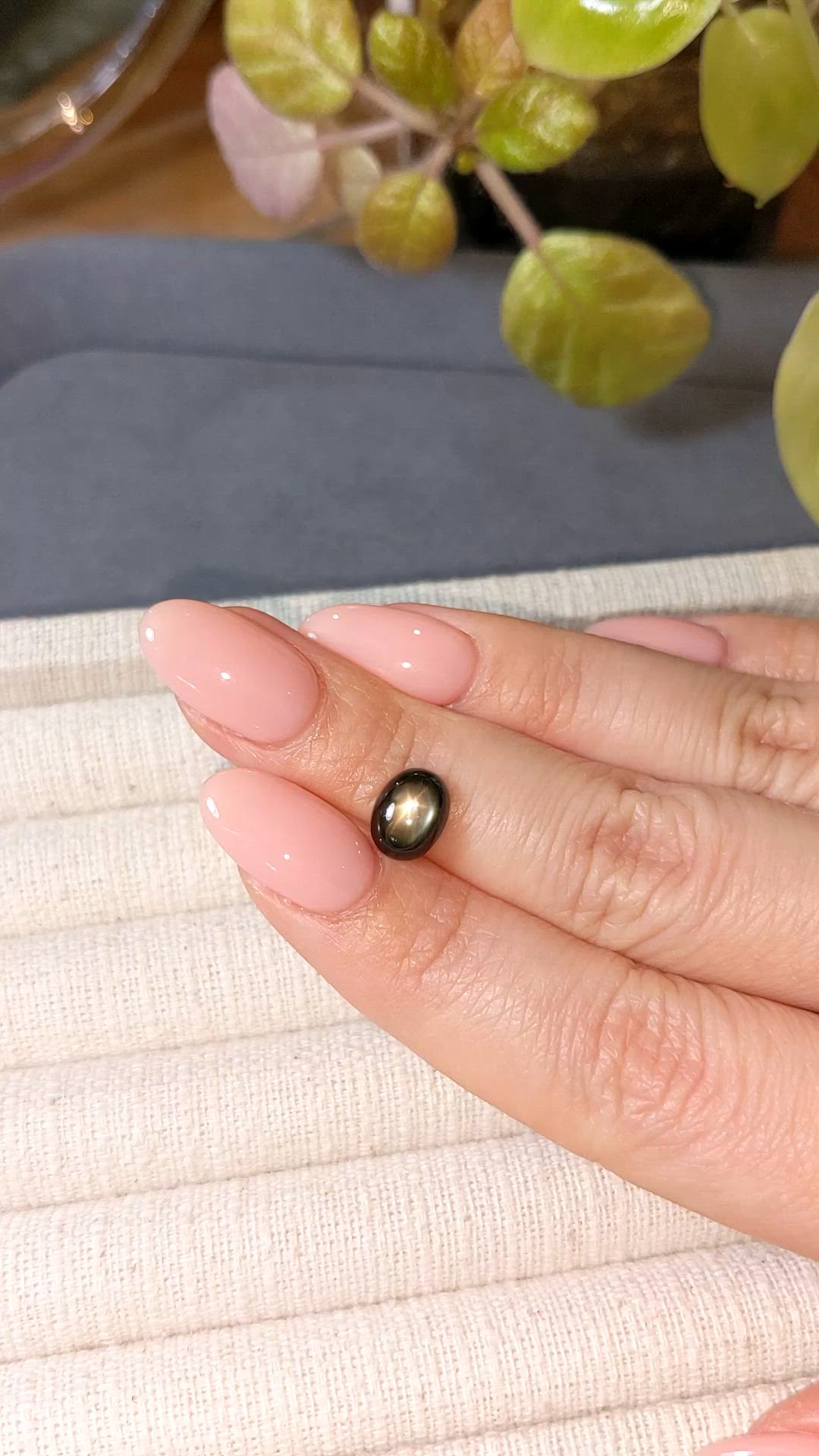3.29 Ct. Black Star Sapphire from Ceylon (Sri Lanka) Size Video